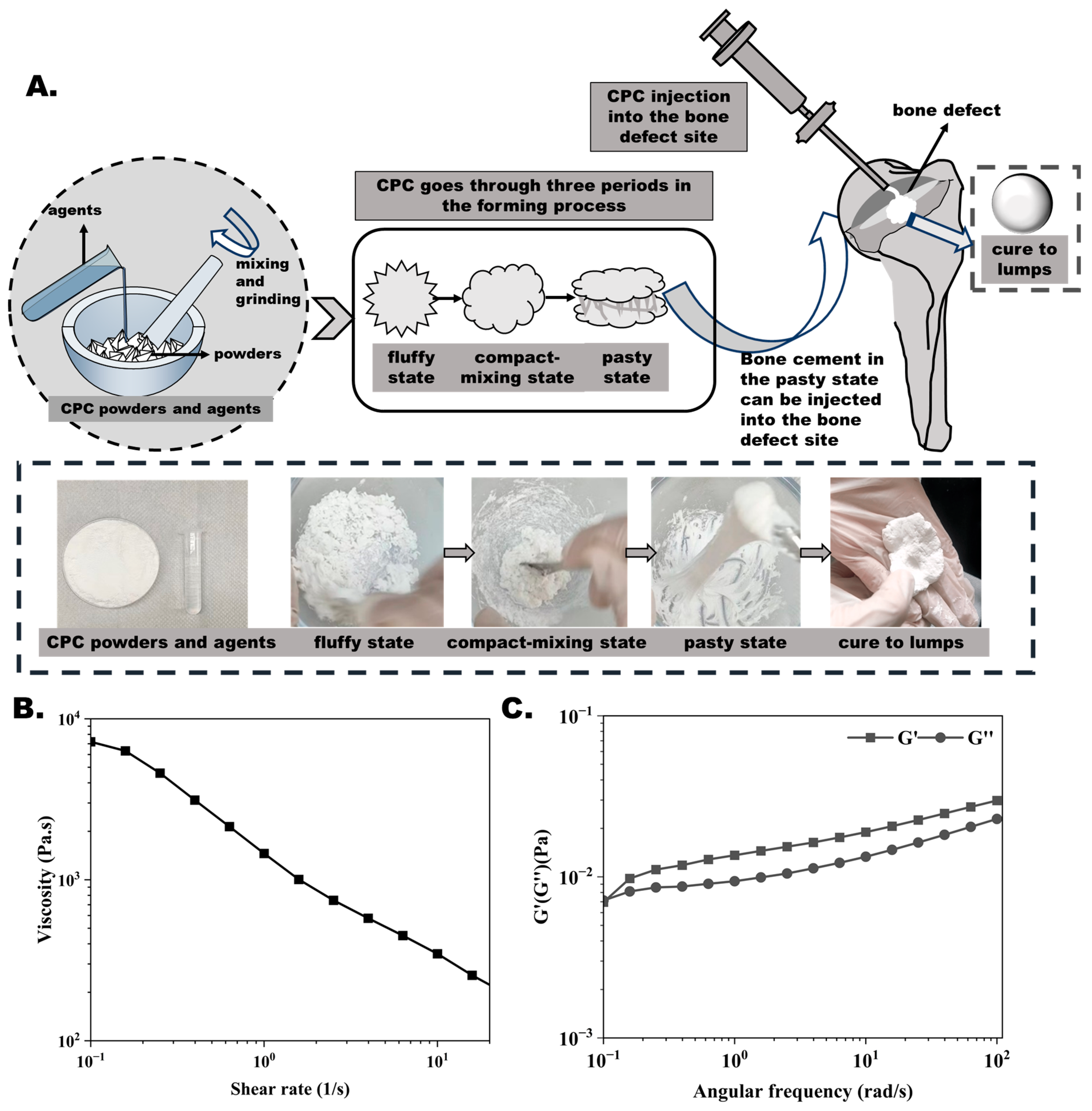Bioengineering 12 00834 g001