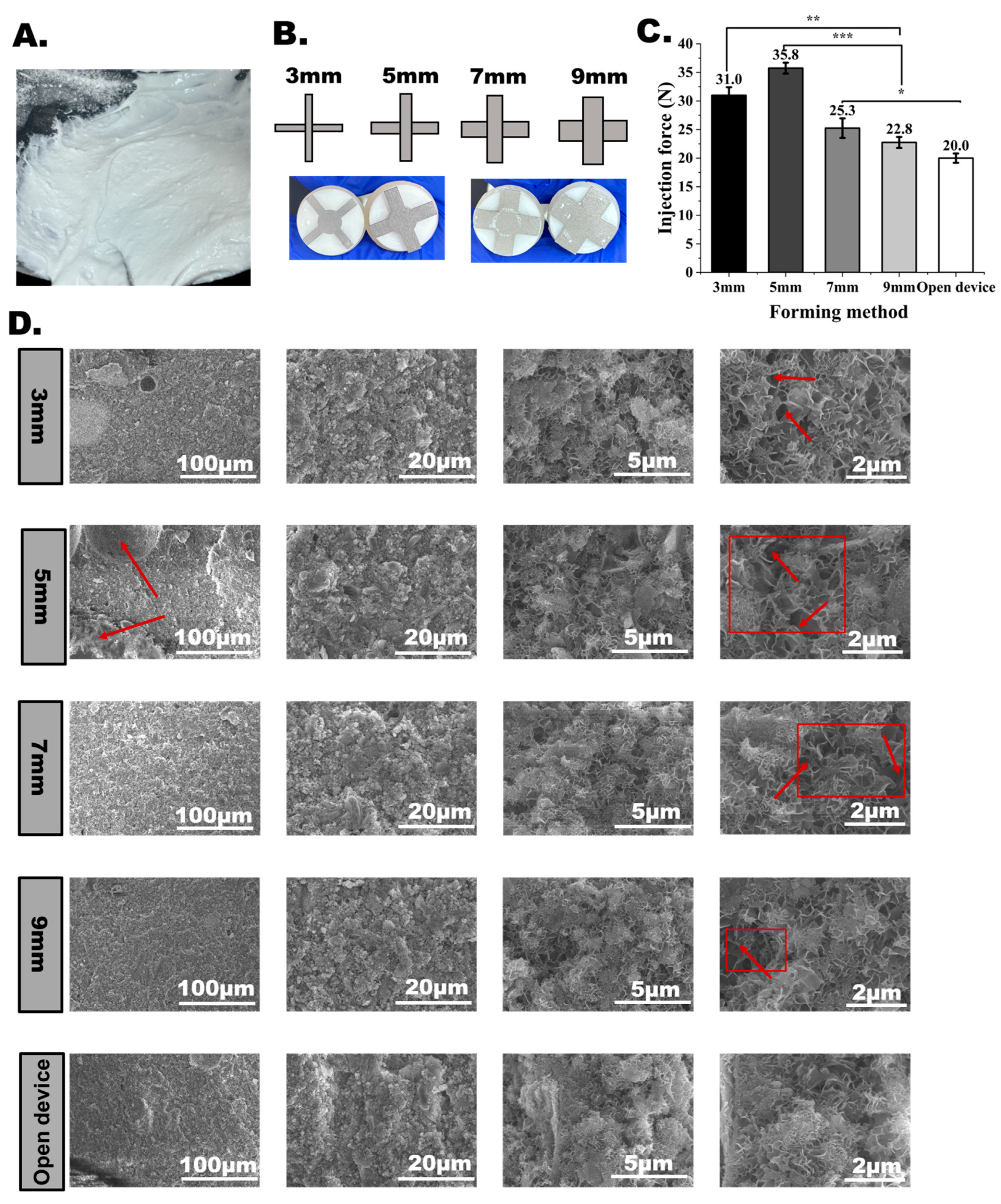 Bioengineering 12 00834 g008