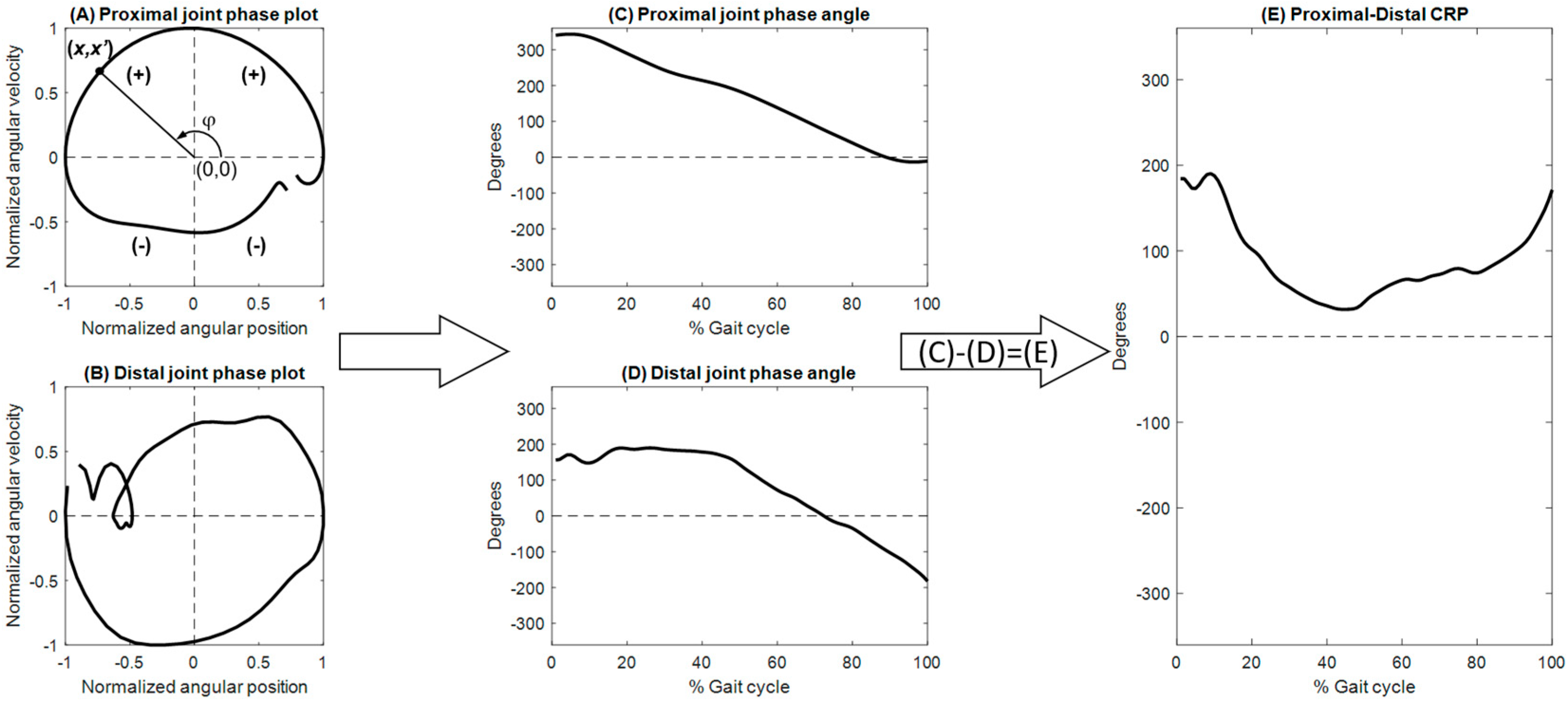Bioengineering 12 00836 g001