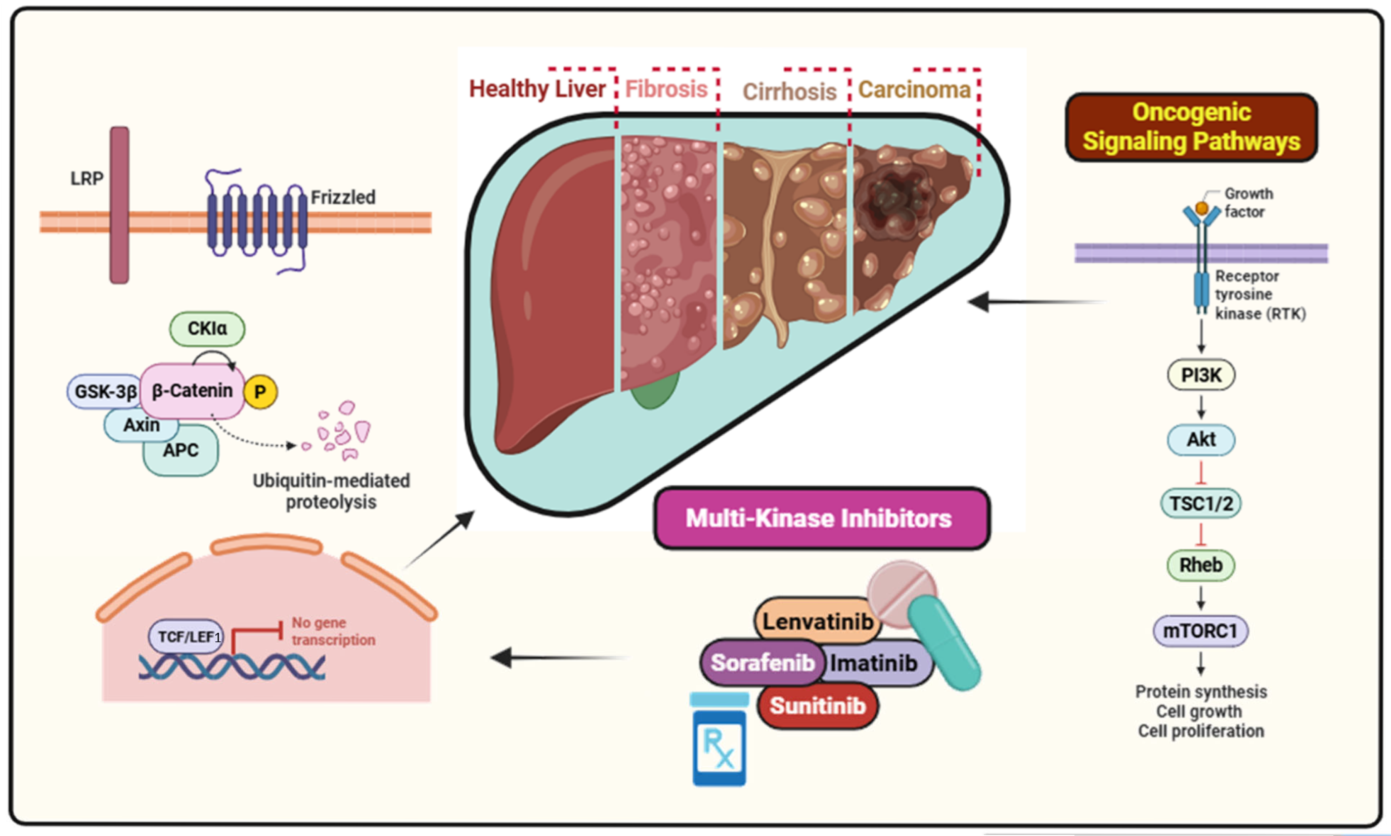 Bioengineering 12 00837 g001