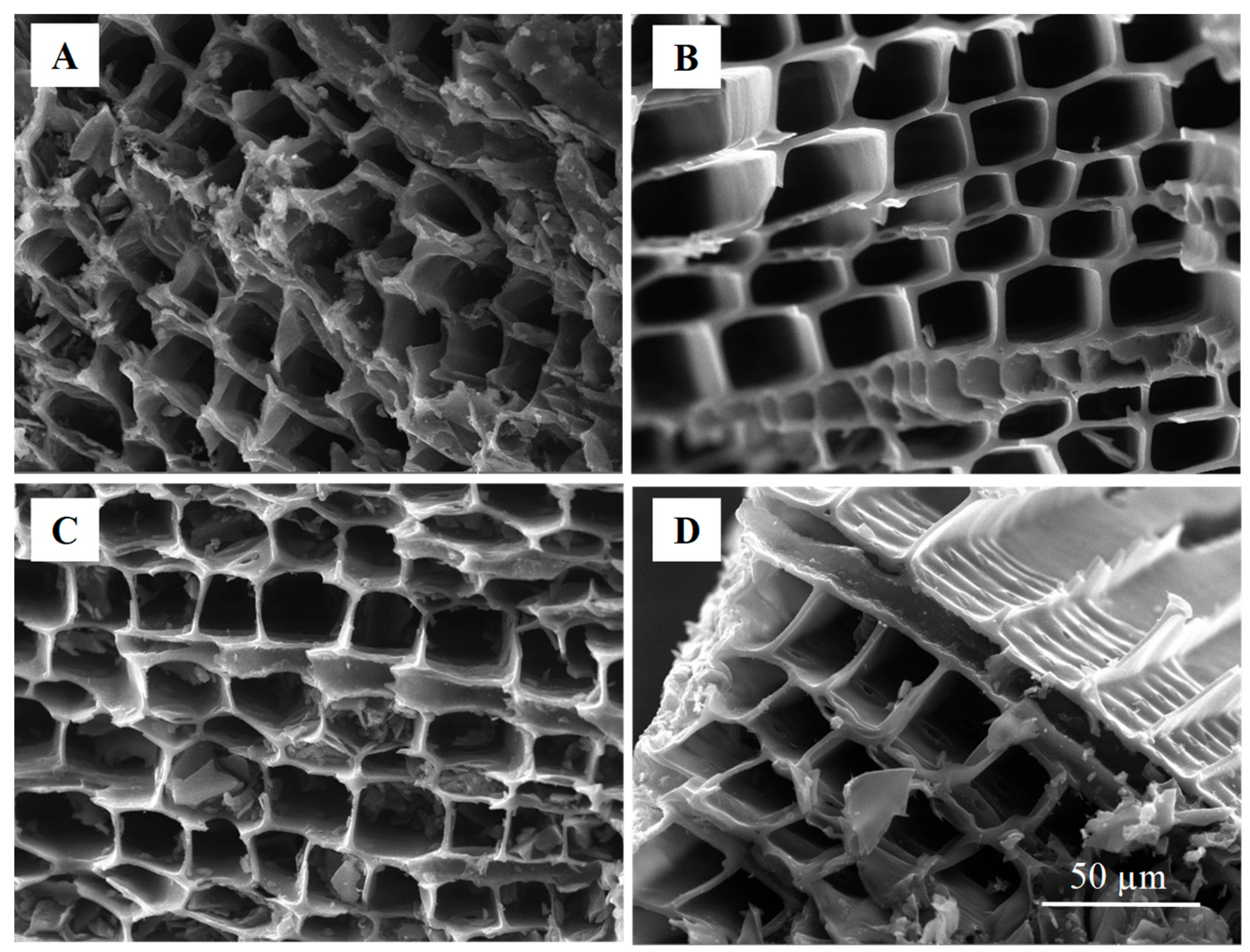 Bioengineering 12 00841 g003