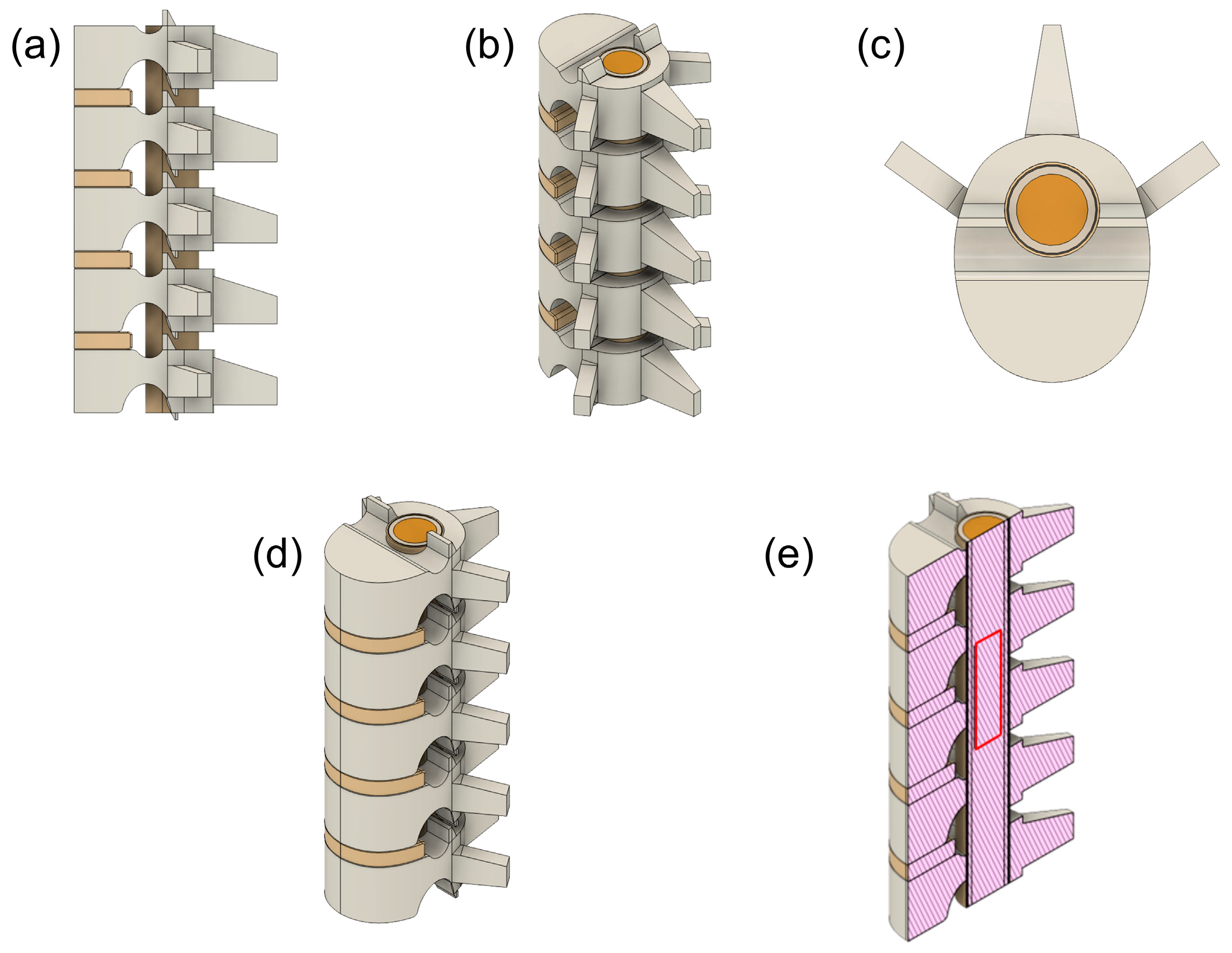 Bioengineering 12 00842 g001