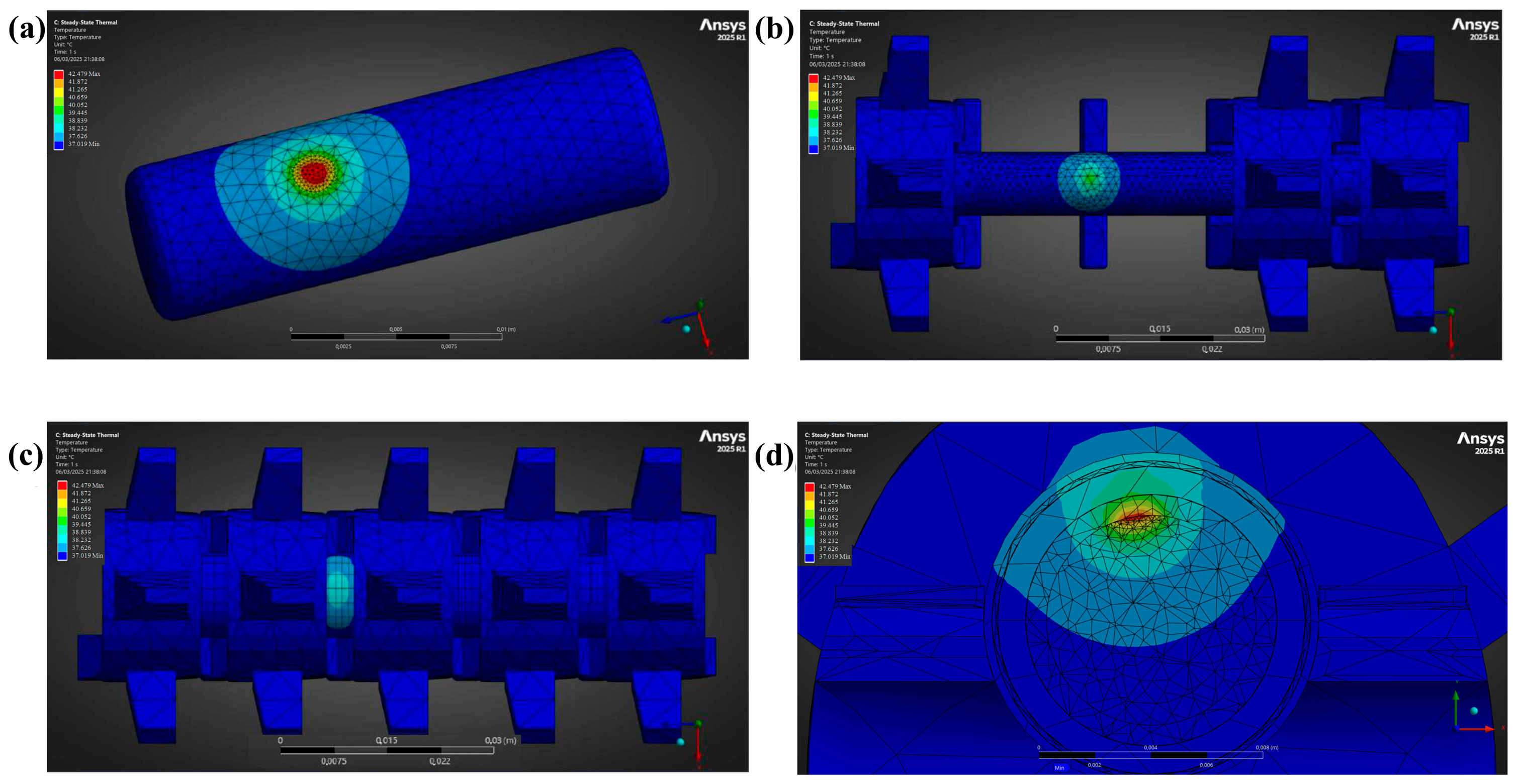 Bioengineering 12 00842 g009