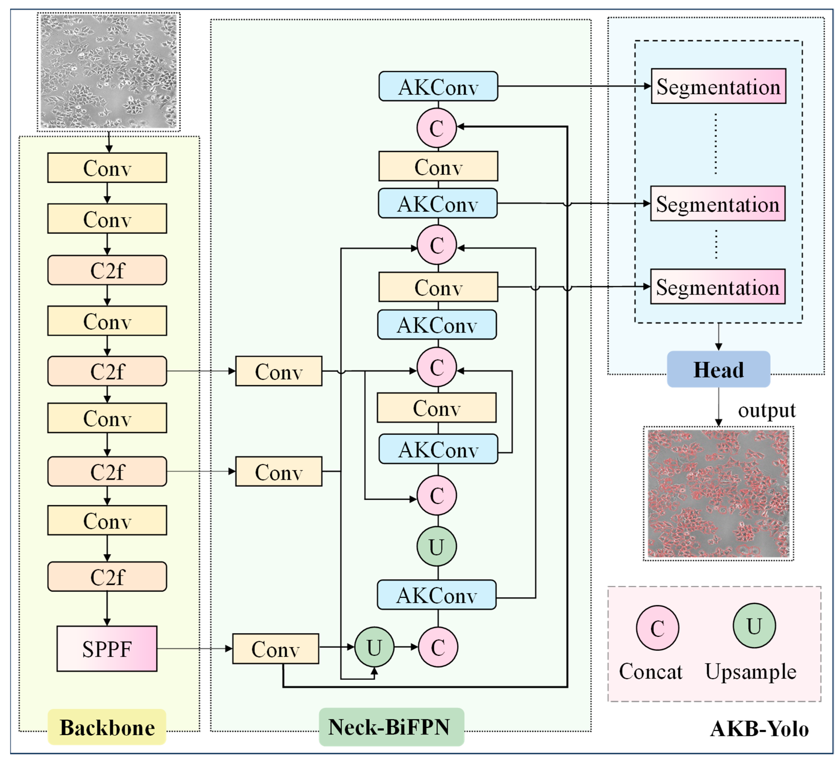 Bioengineering 12 00843 g004