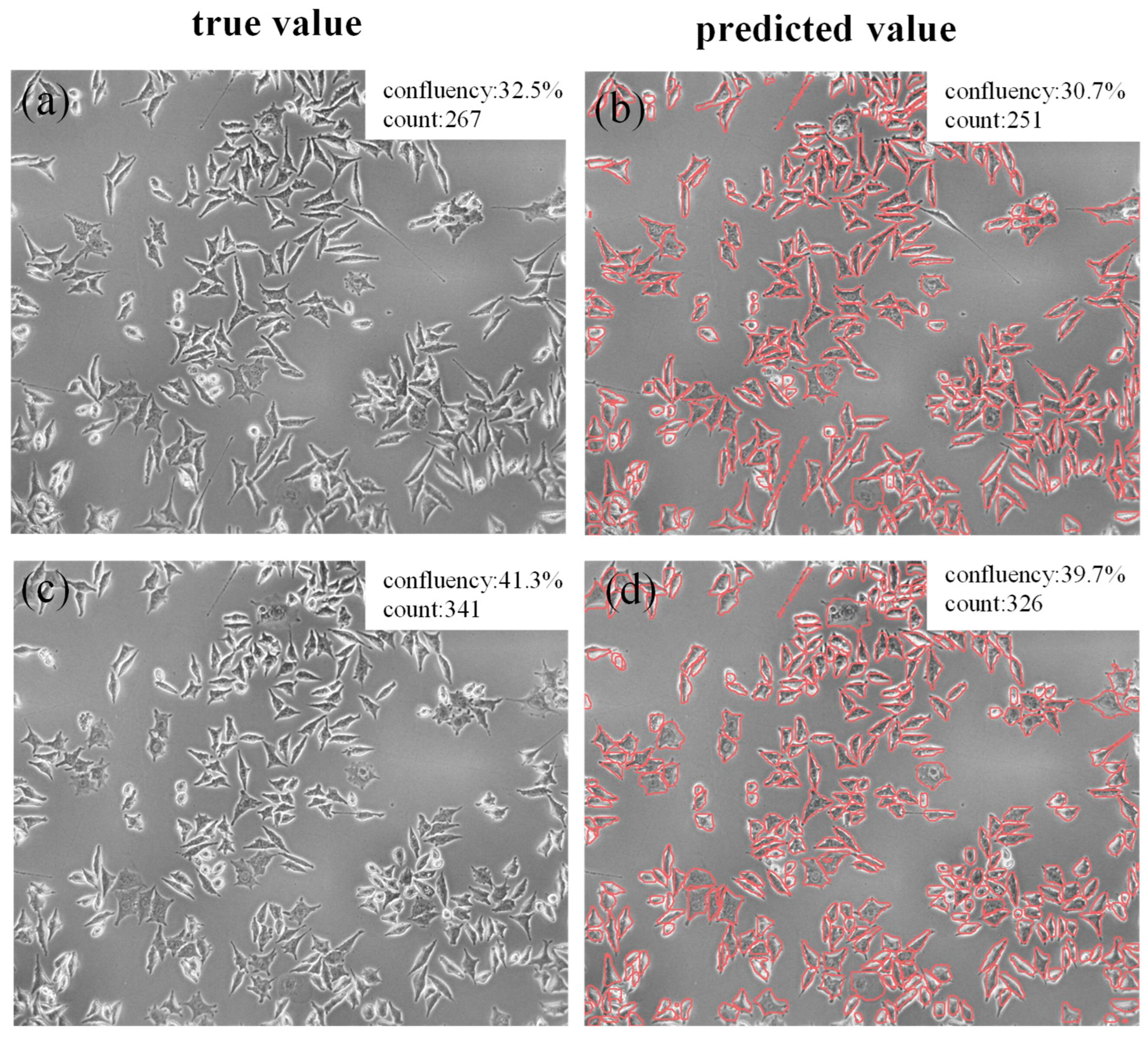 Bioengineering 12 00843 g007