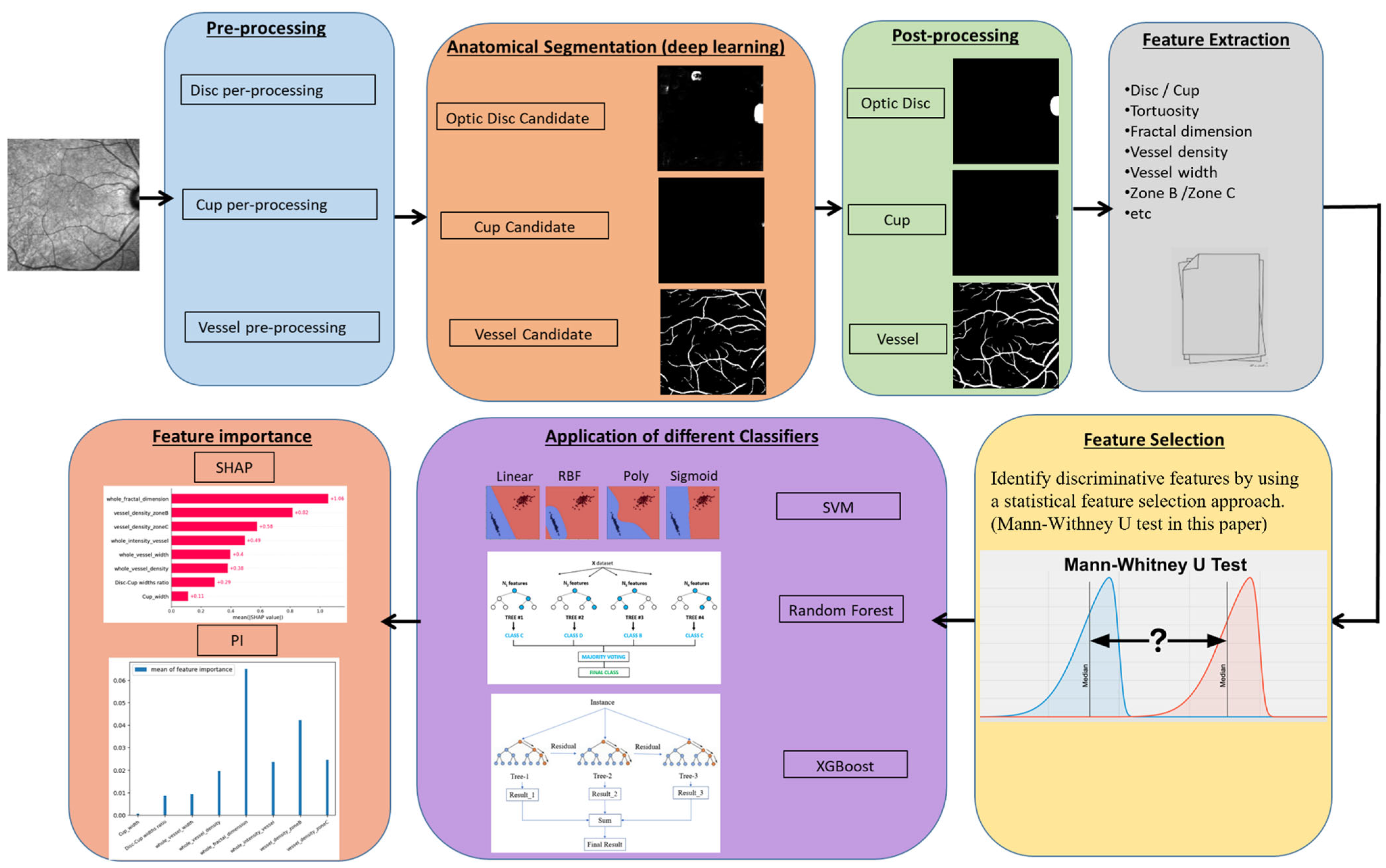 Bioengineering 12 00847 g001