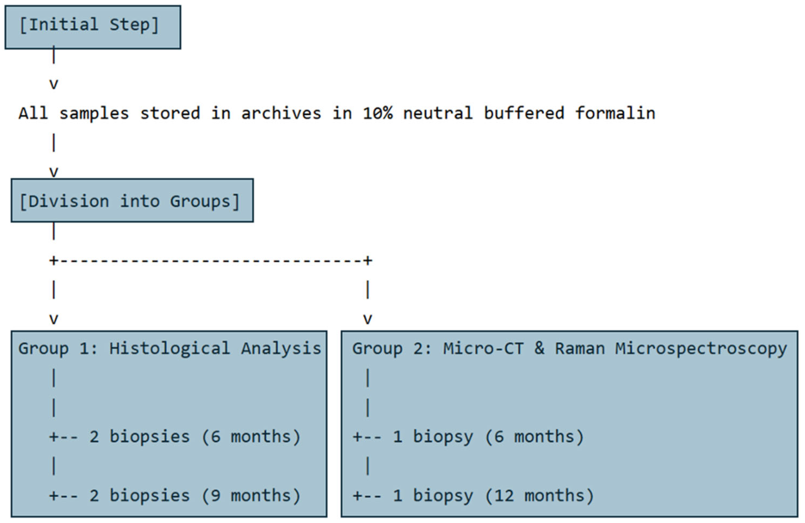 Bioengineering 12 00848 g001
