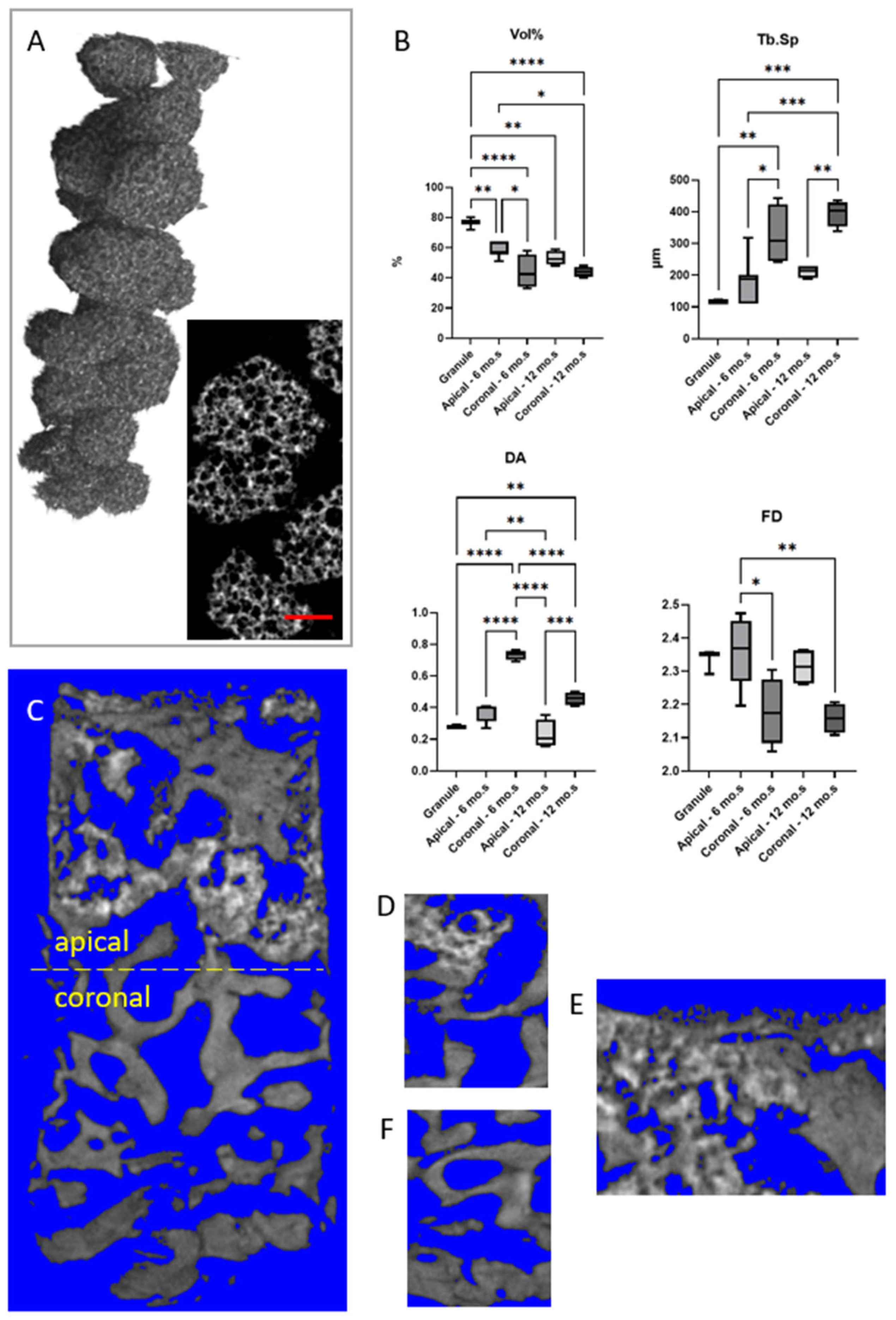 Bioengineering 12 00848 g003