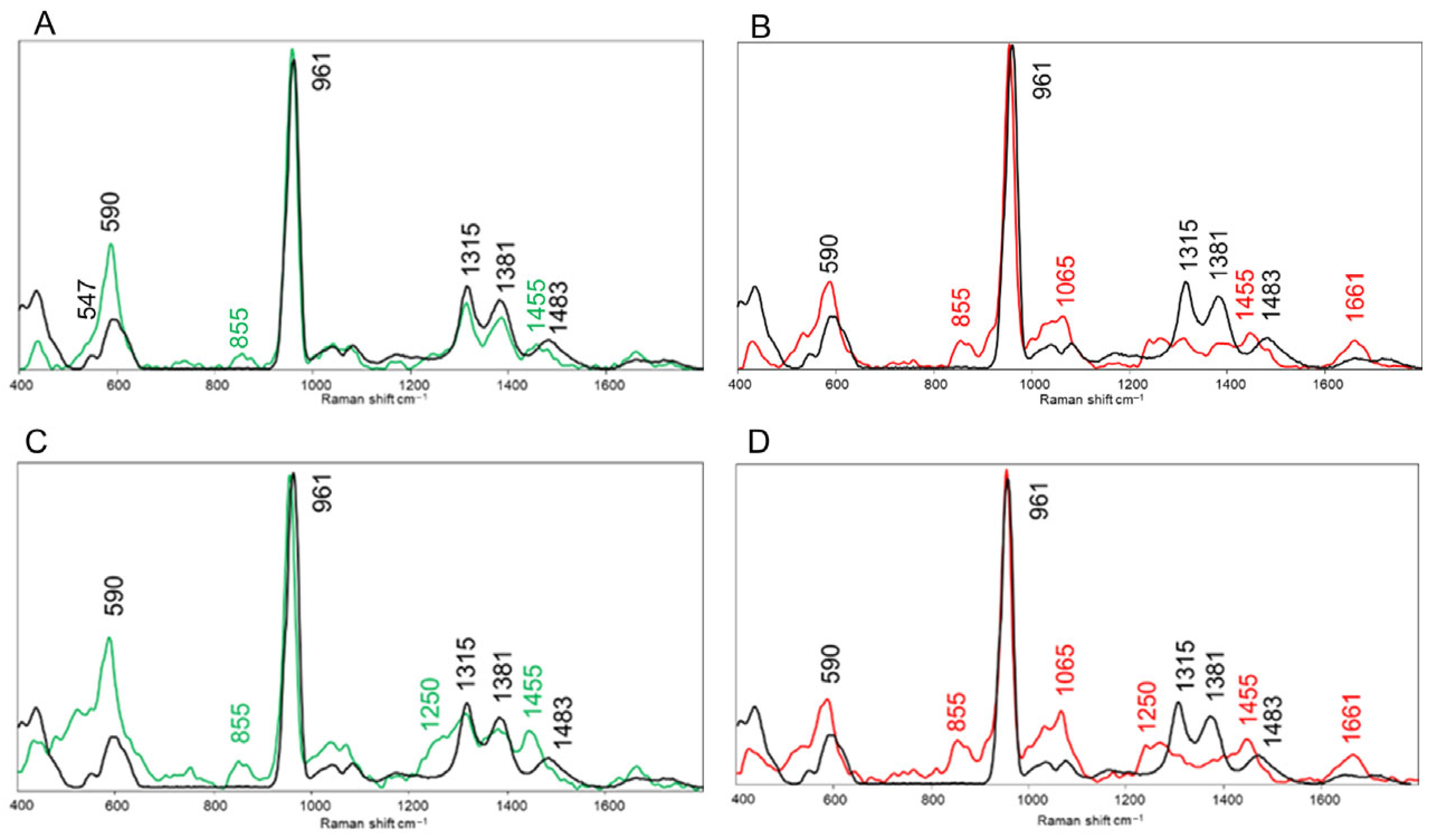 Bioengineering 12 00848 g006