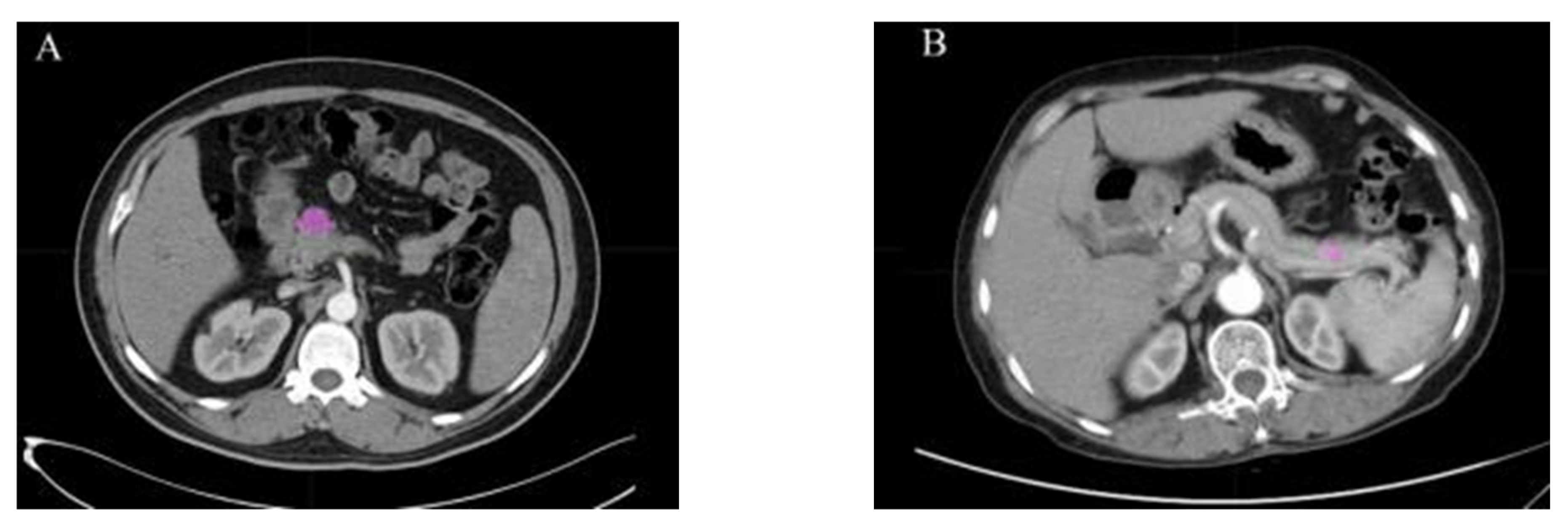 Bioengineering 12 00849 g003