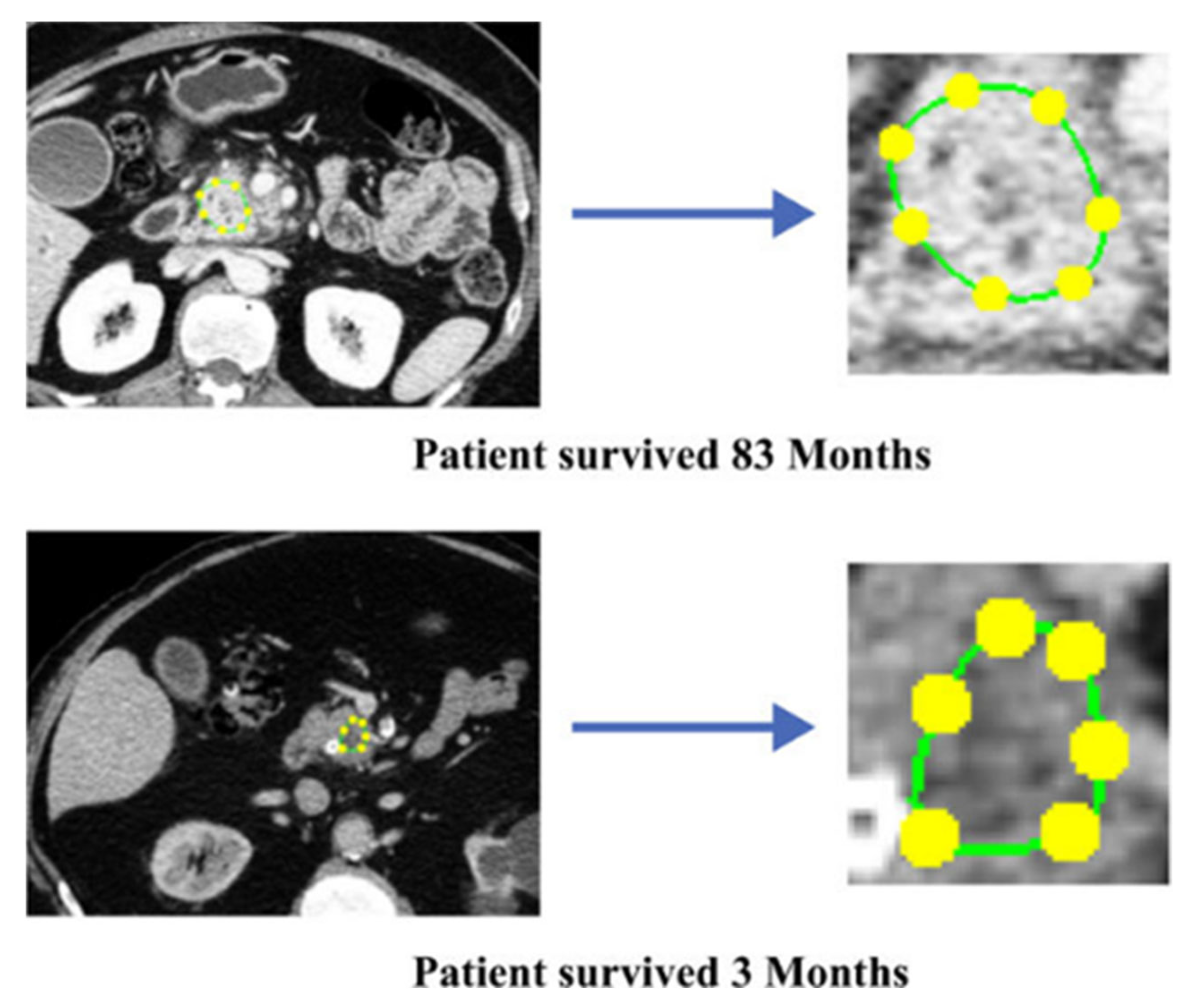 Bioengineering 12 00849 g005