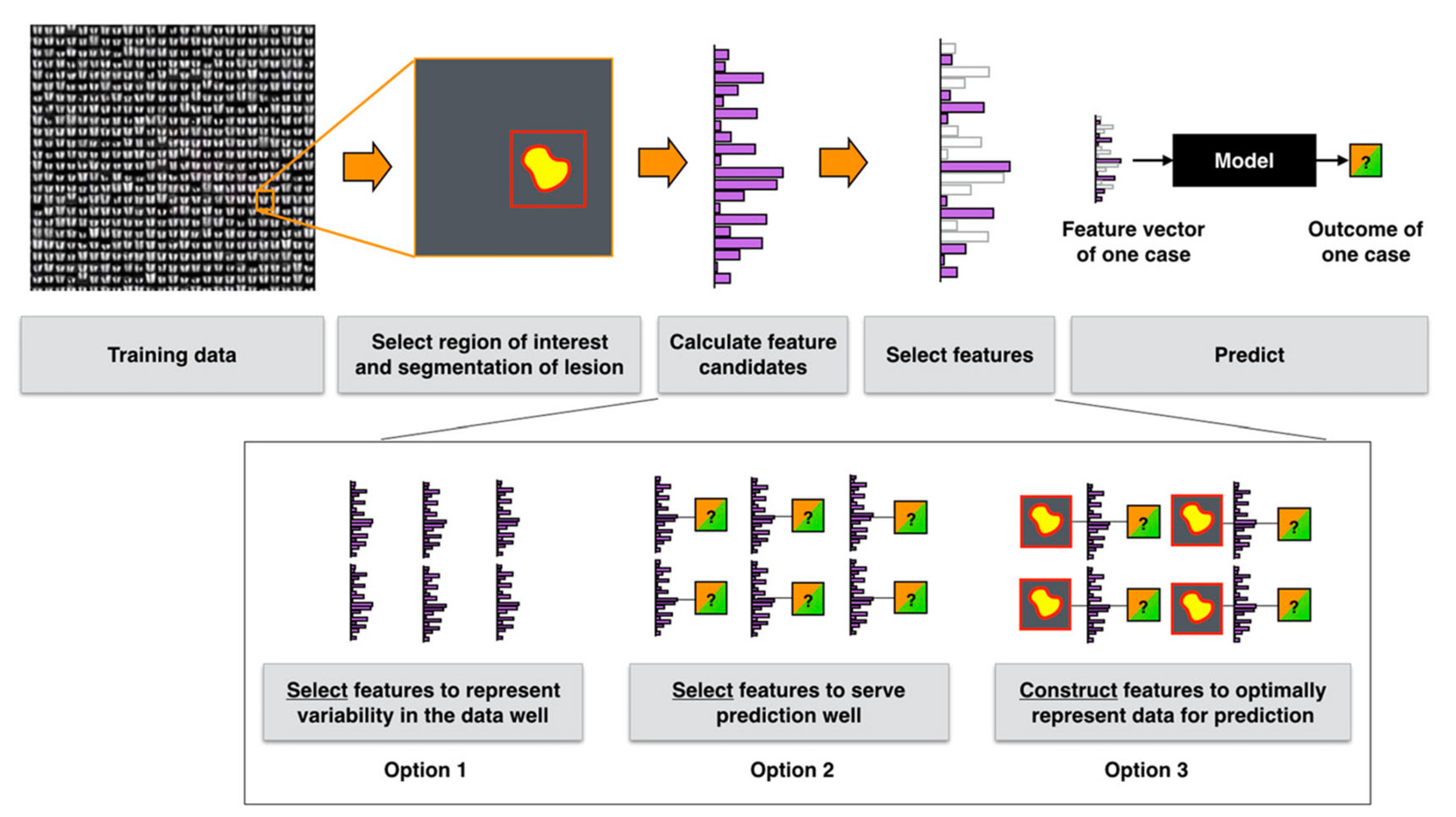 Bioengineering 12 00849 g014