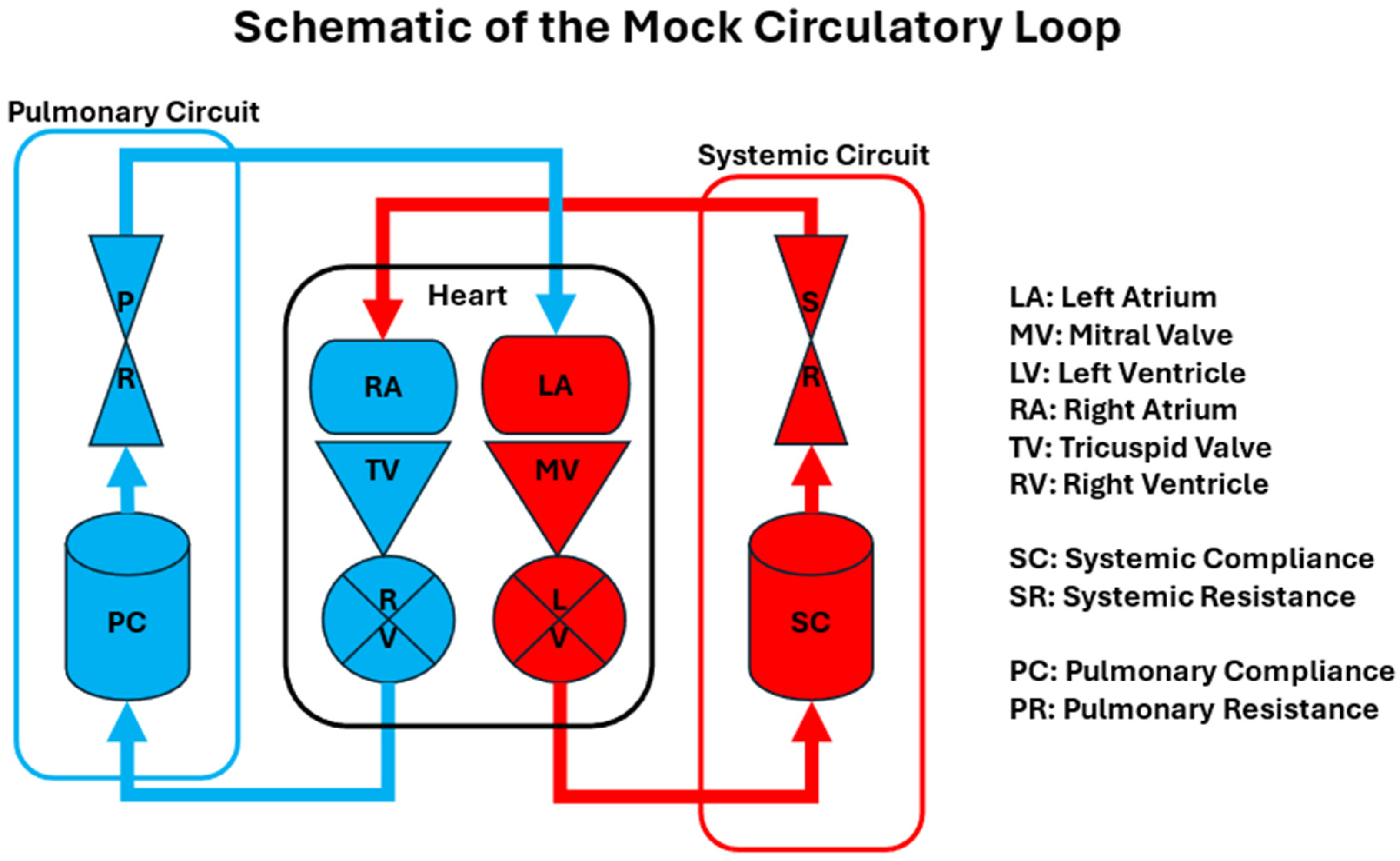 Bioengineering 12 00851 g002