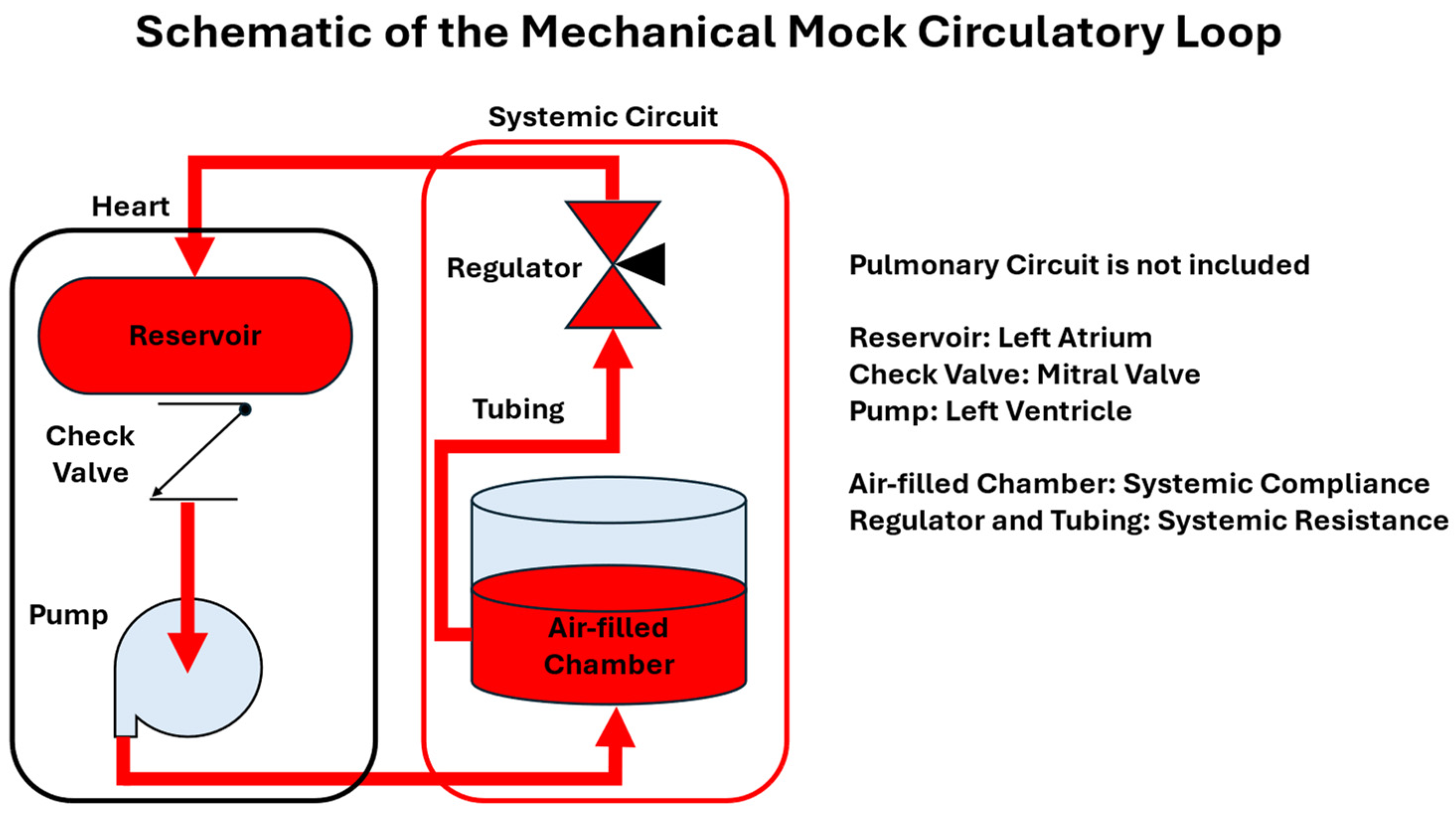 Bioengineering 12 00851 g003