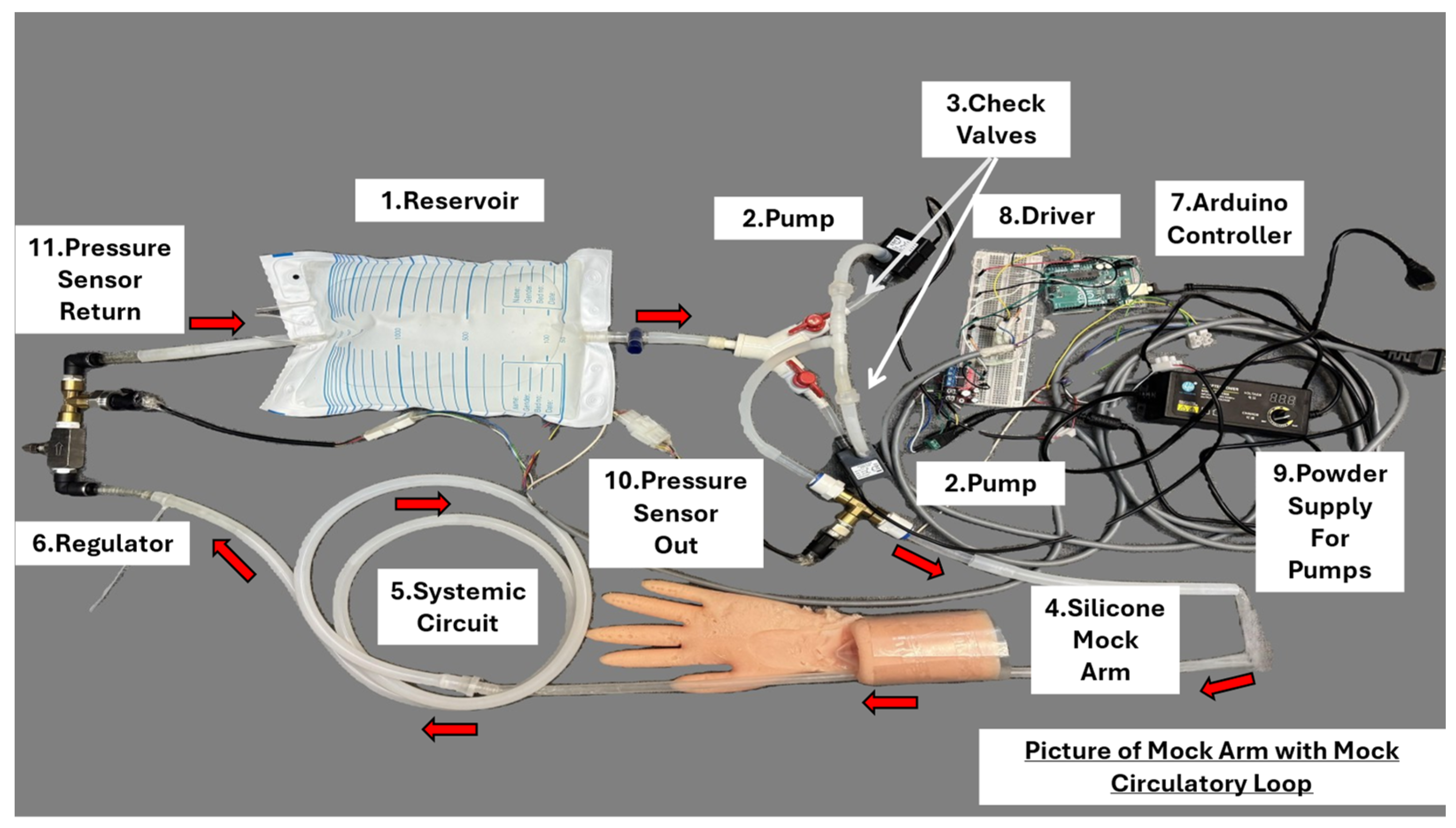 Bioengineering 12 00851 g007