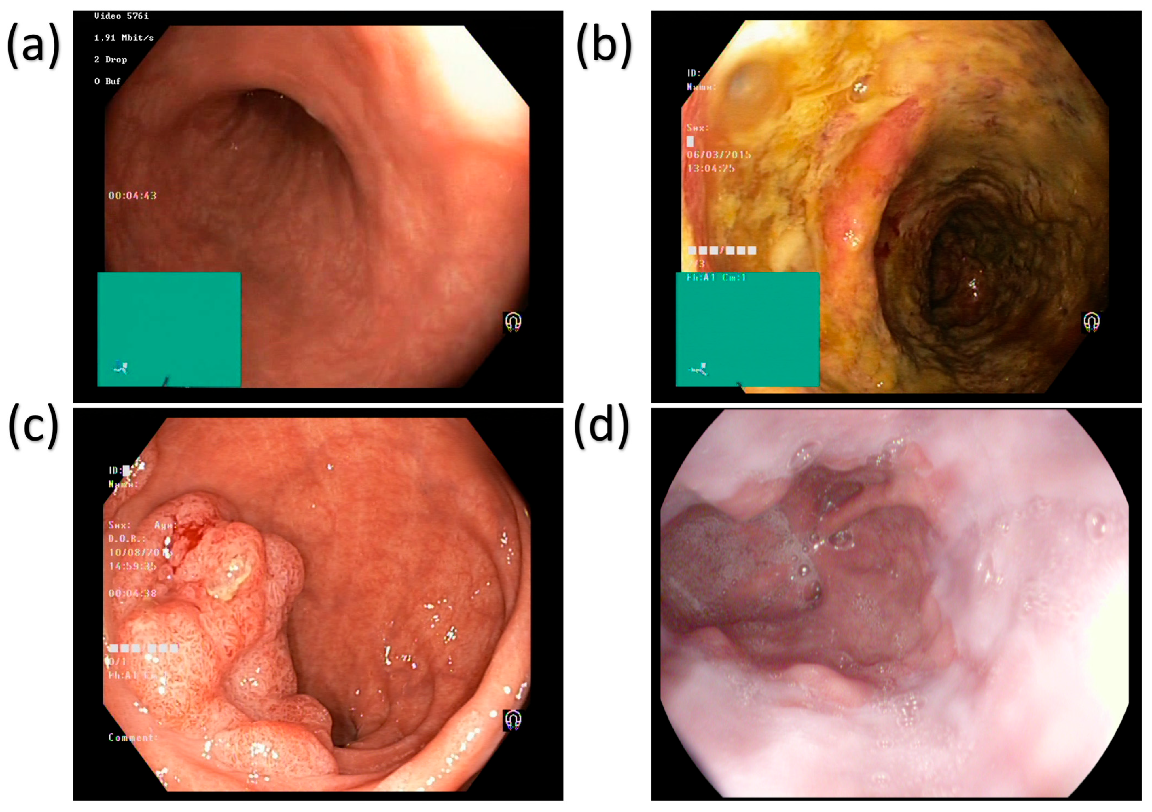 Bioengineering 12 00852 g001