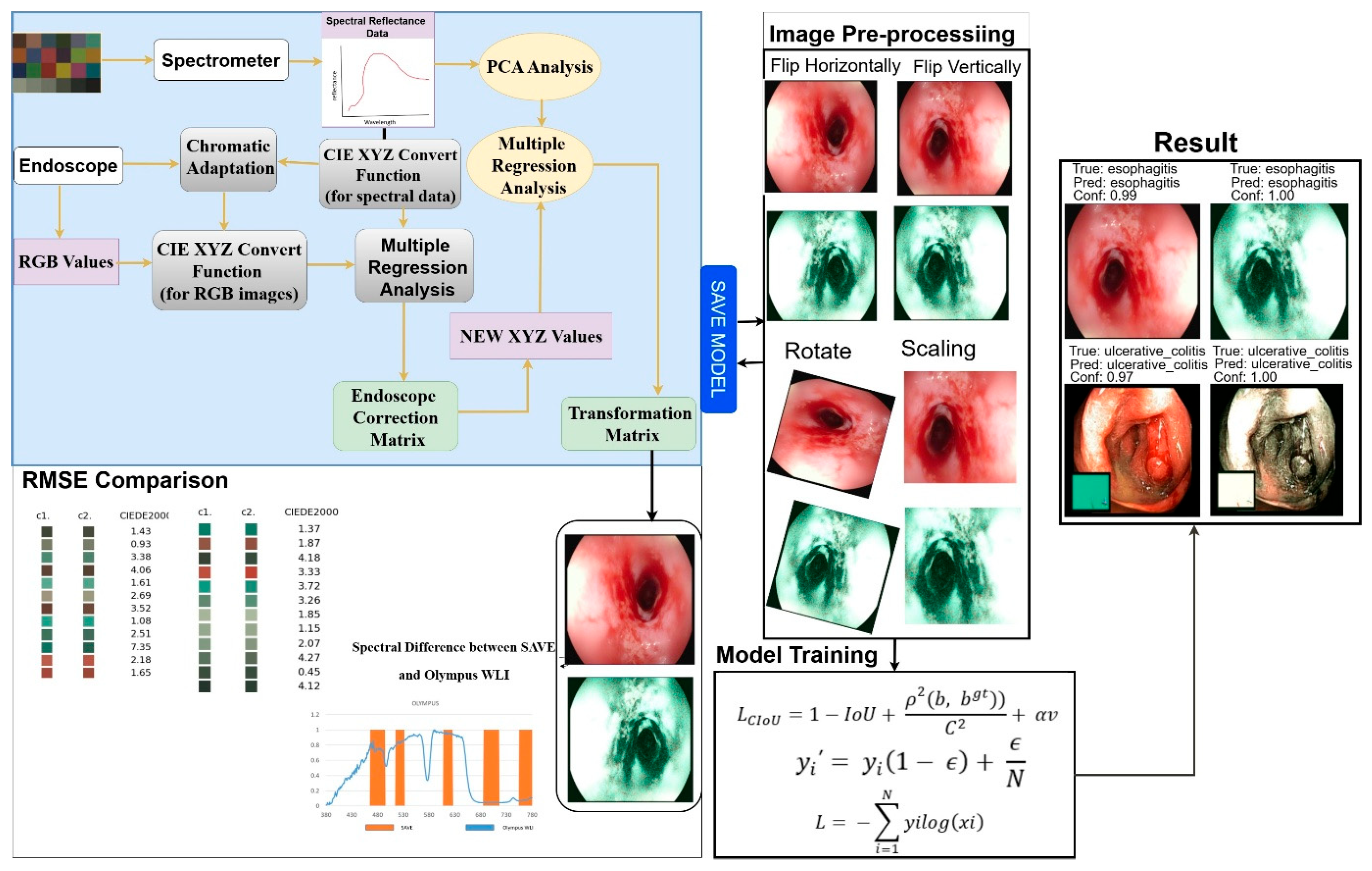 Bioengineering 12 00852 g002