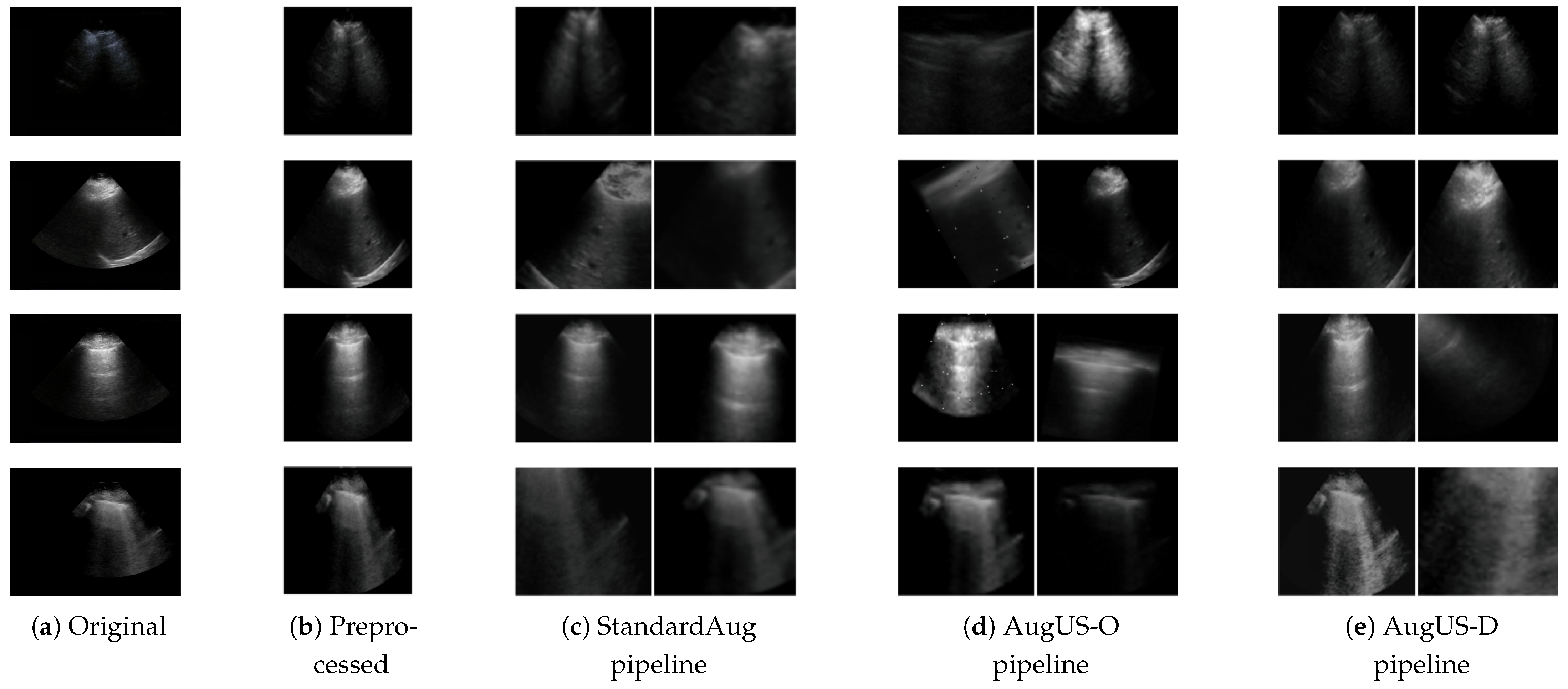 Bioengineering 12 00855 g001