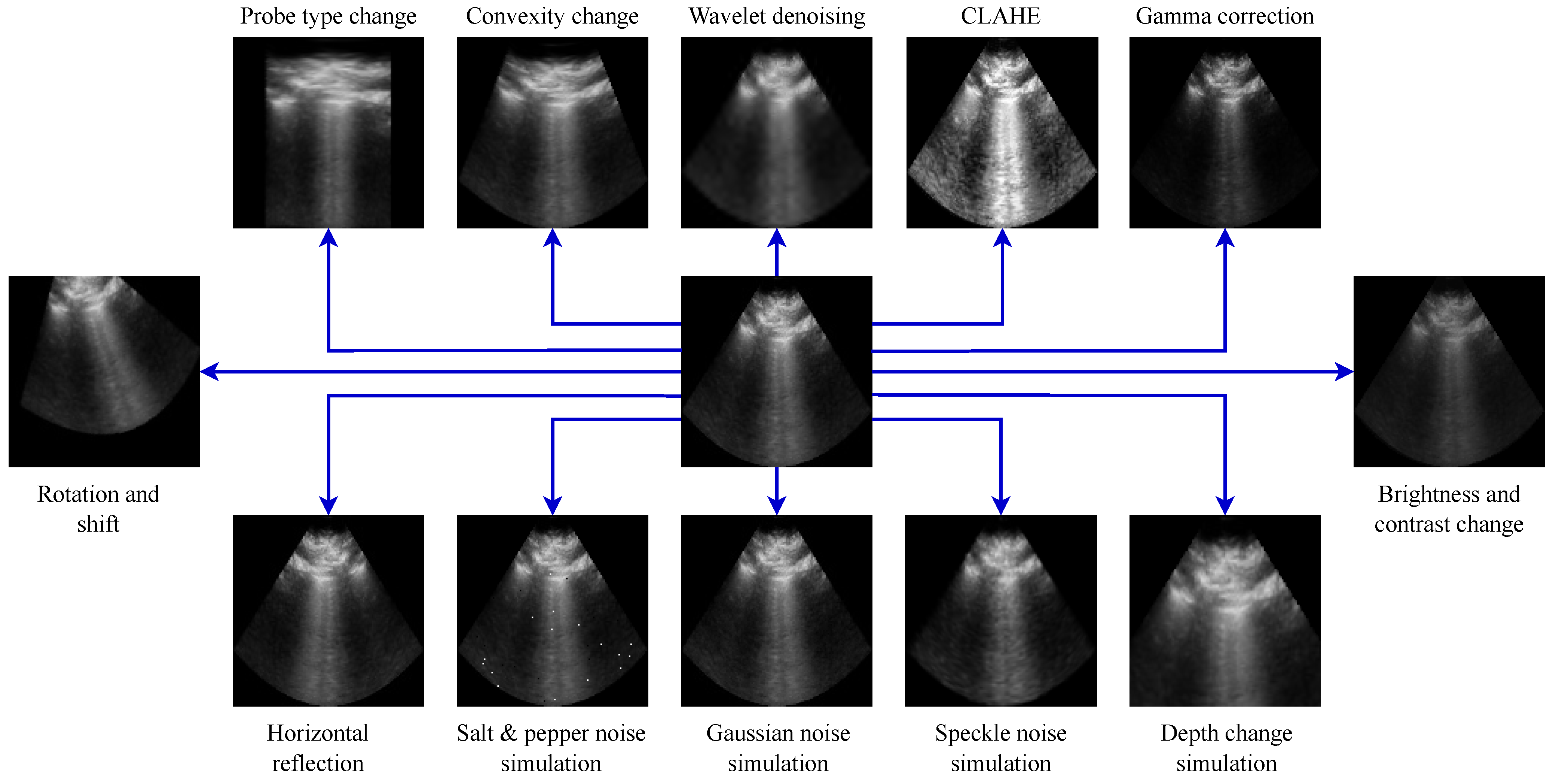 Bioengineering 12 00855 g003