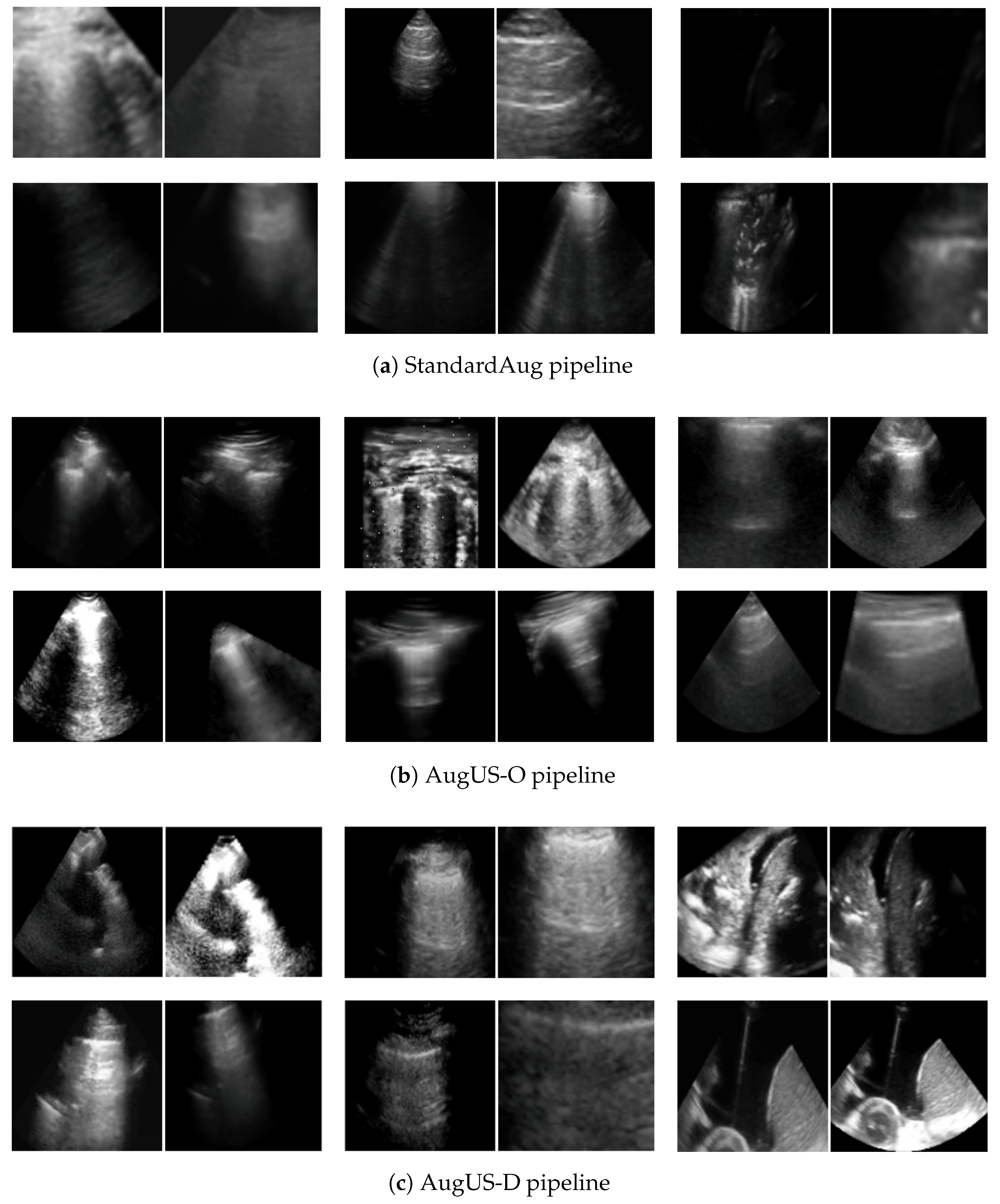 Bioengineering 12 00855 g004