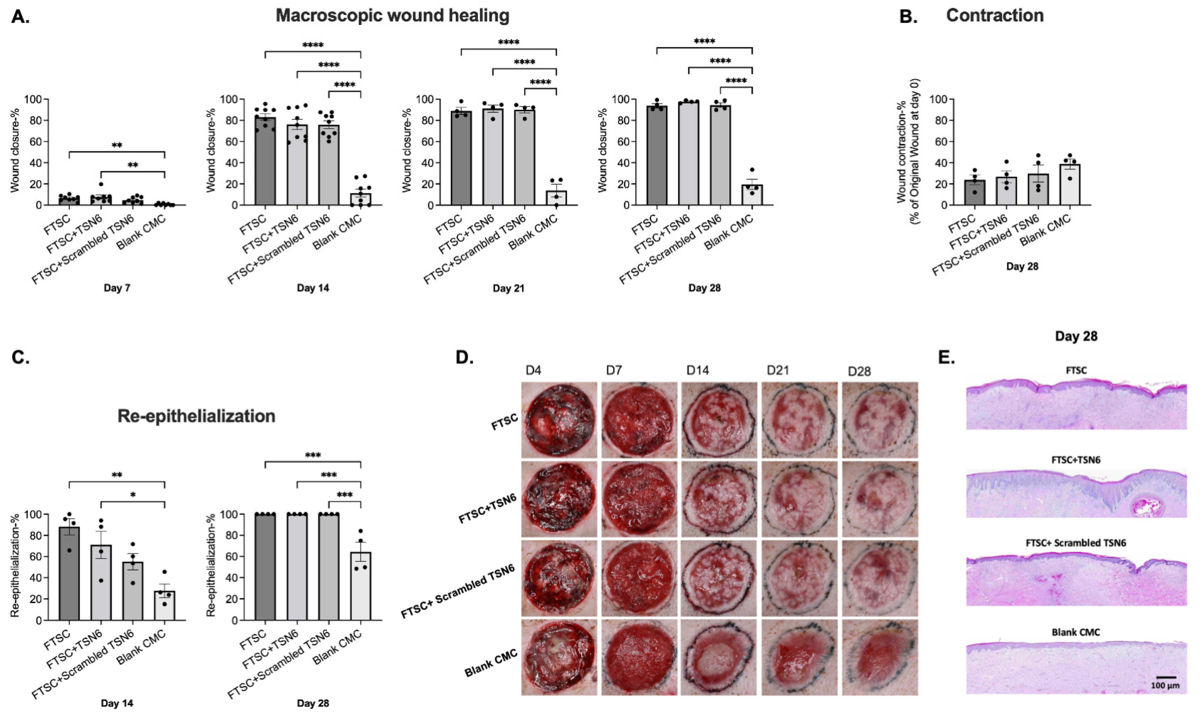 Bioengineering 12 00856 g002