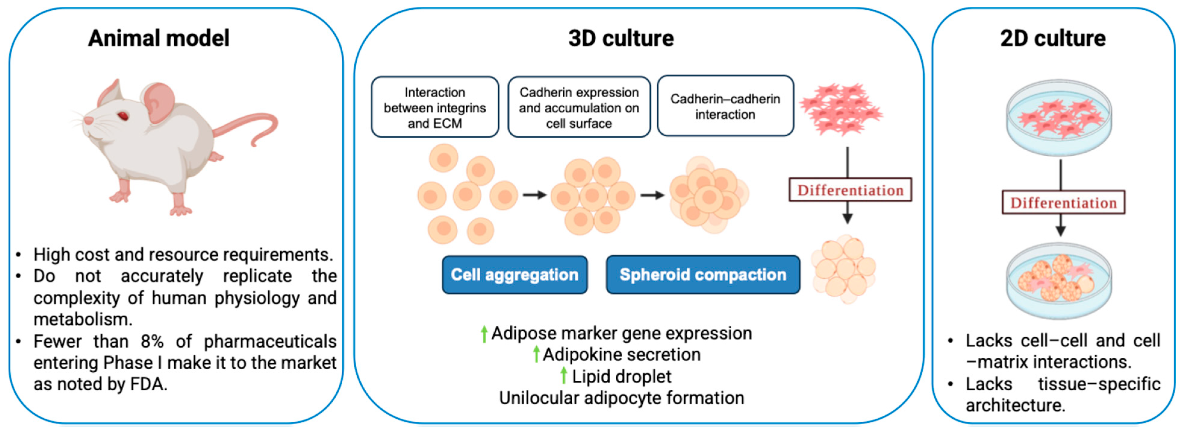 Bioengineering 12 00857 g001