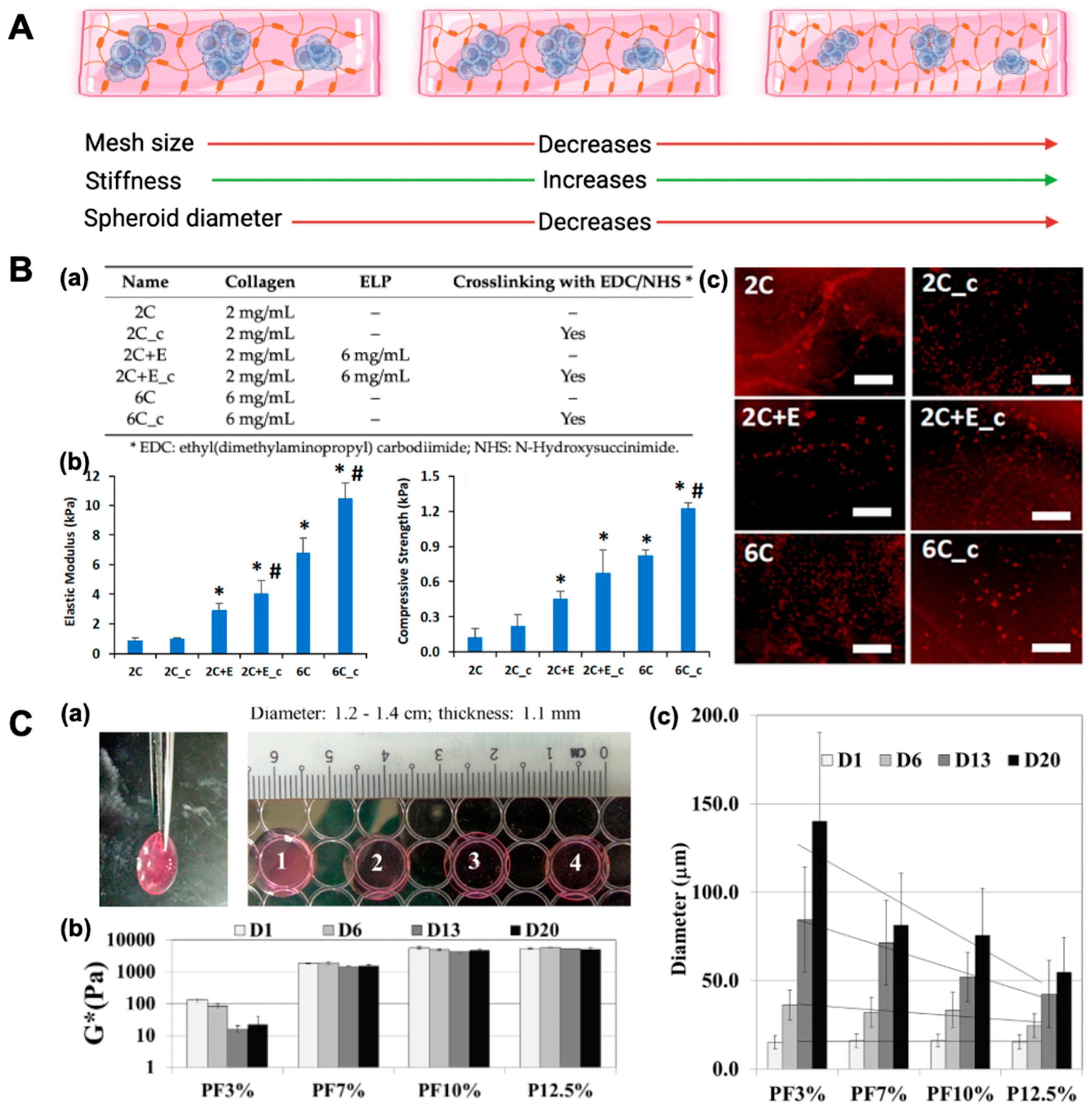 Bioengineering 12 00857 g002