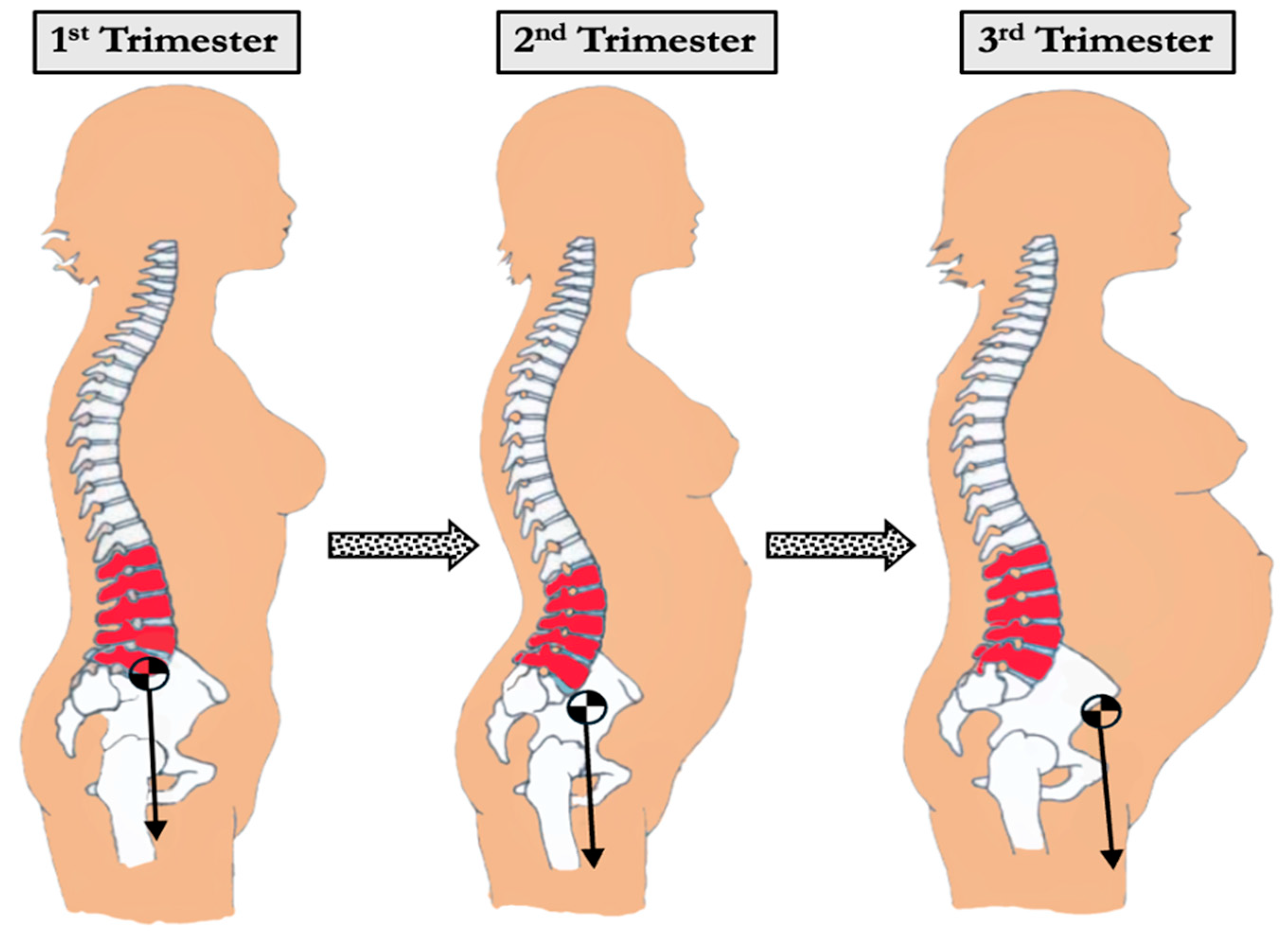 Bioengineering 12 00858 g002