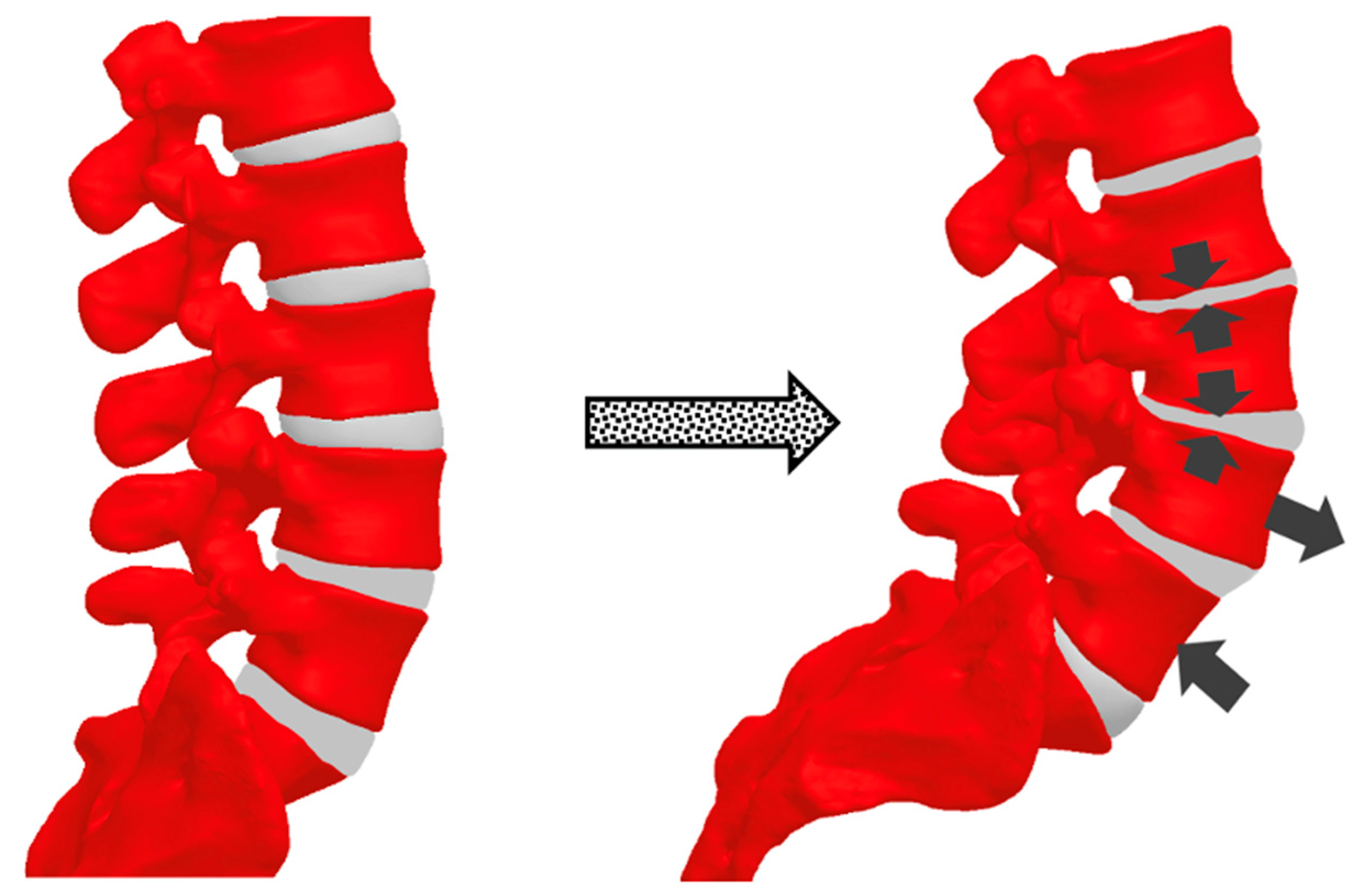 Bioengineering 12 00858 g004