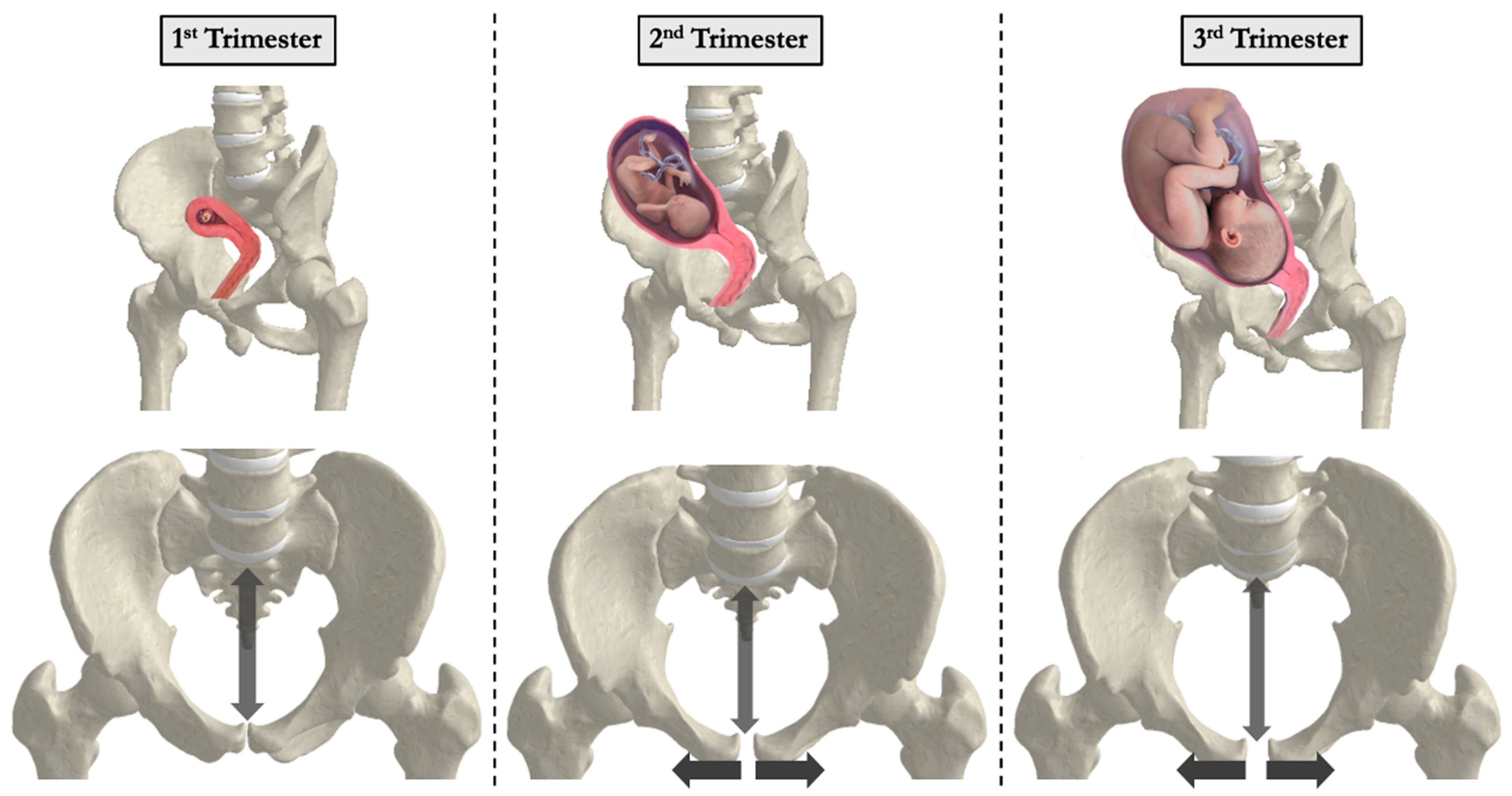 Bioengineering 12 00858 g005