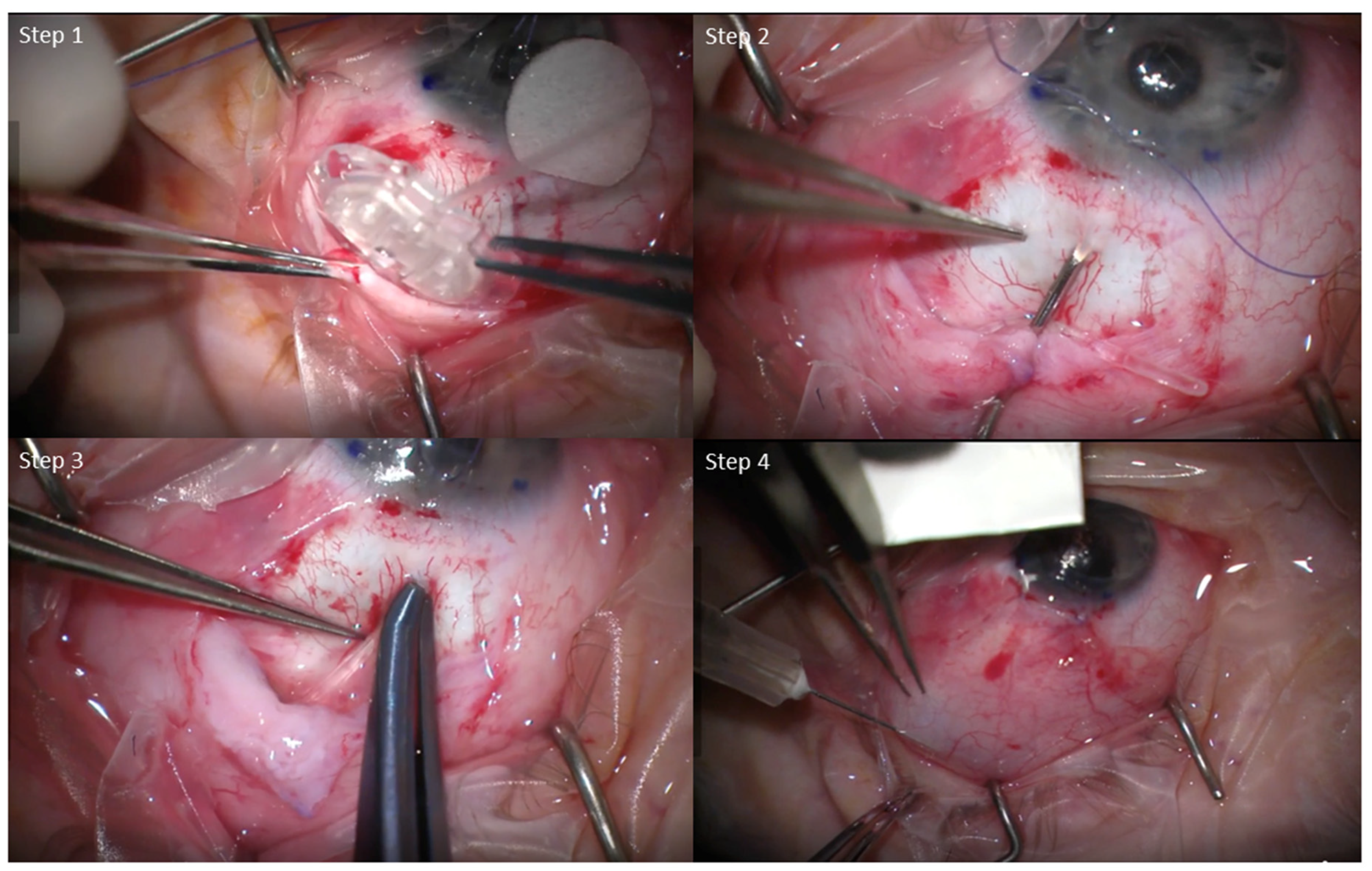 Bioengineering 12 00859 g001