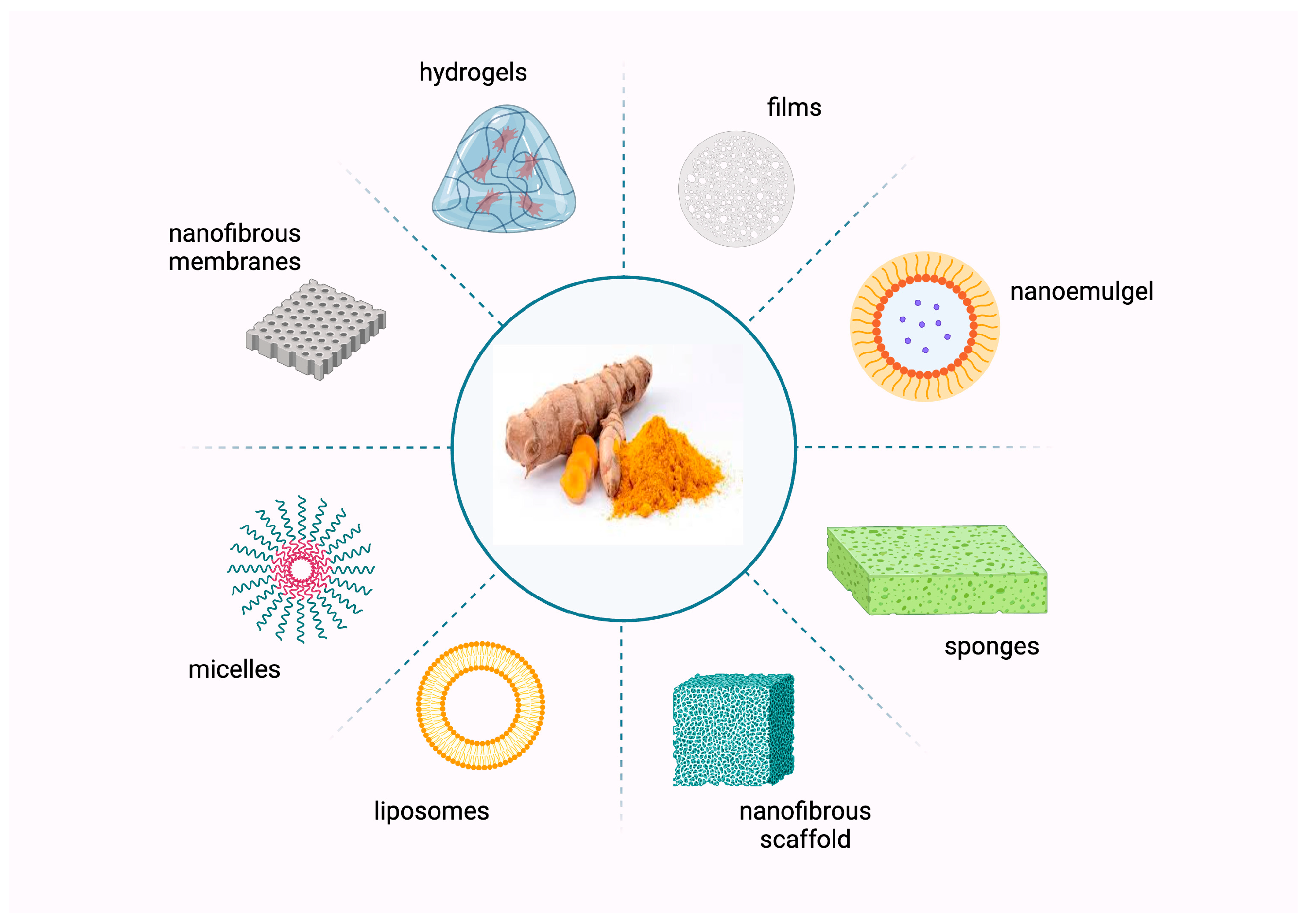 Bioengineering 12 00860 g004