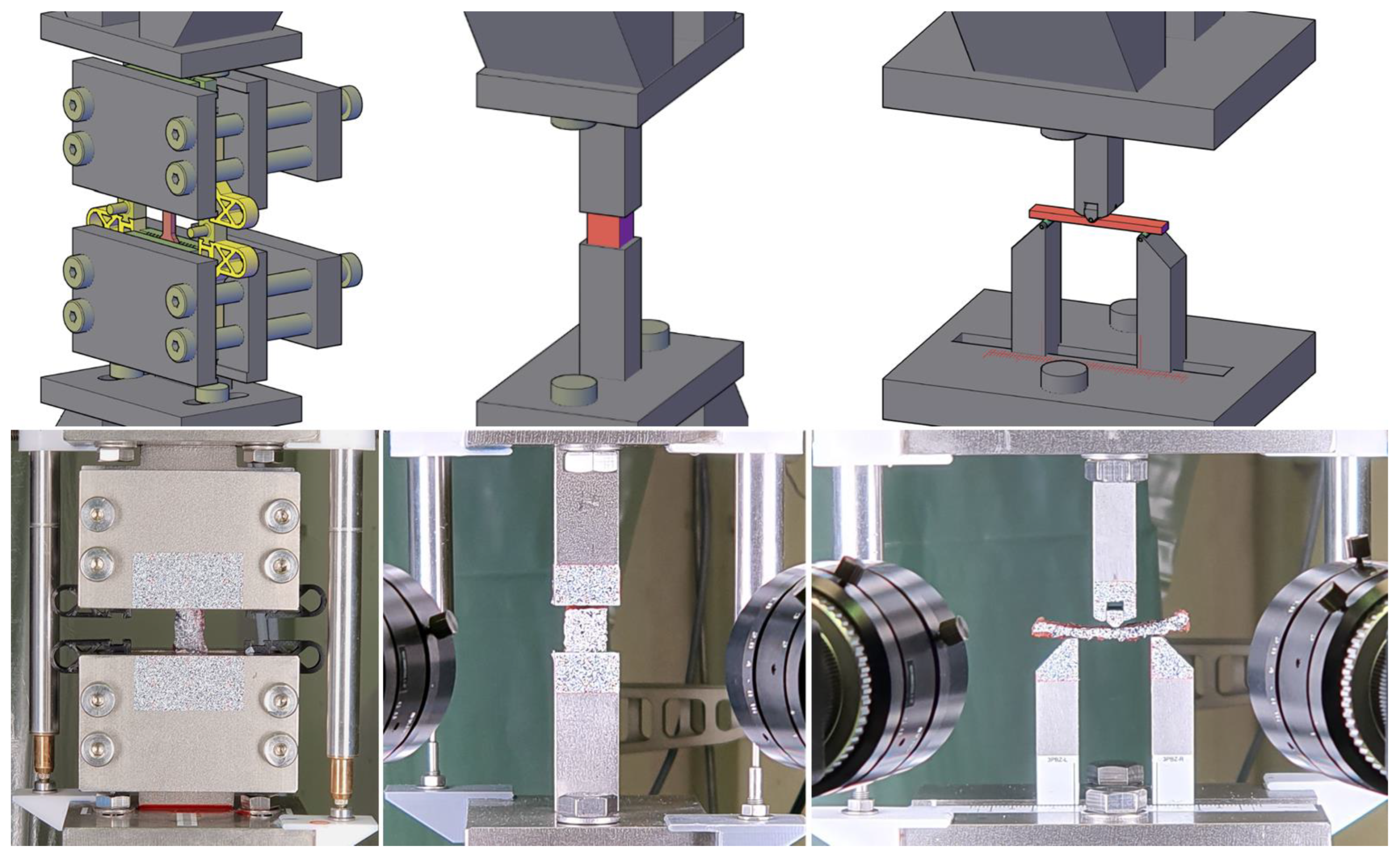 Bioengineering 12 00862 g001