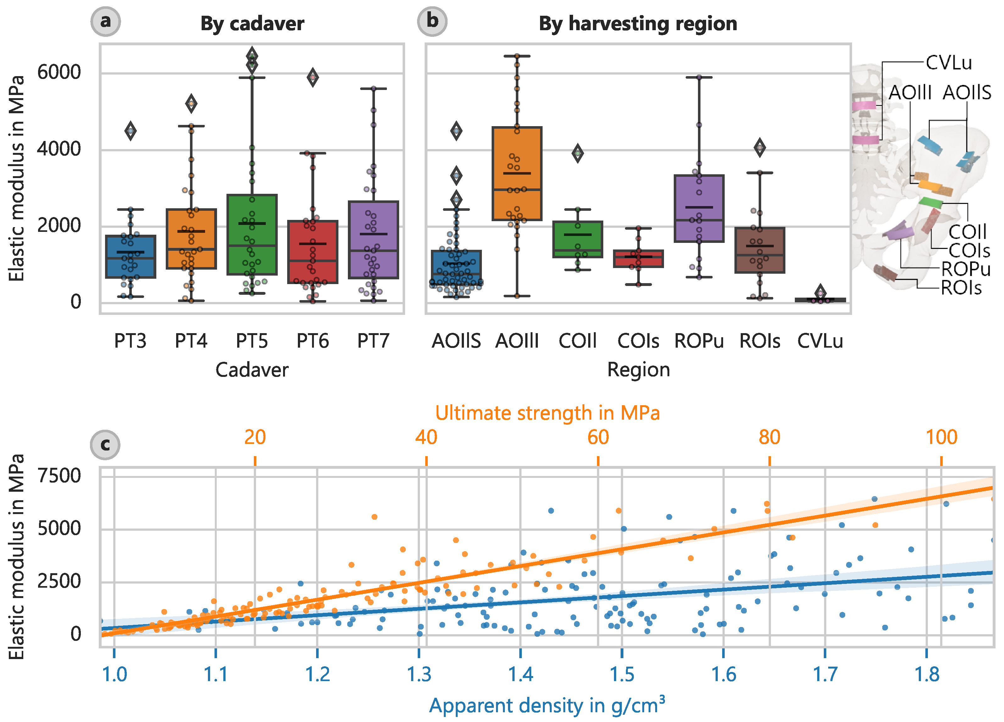 Bioengineering 12 00862 g002