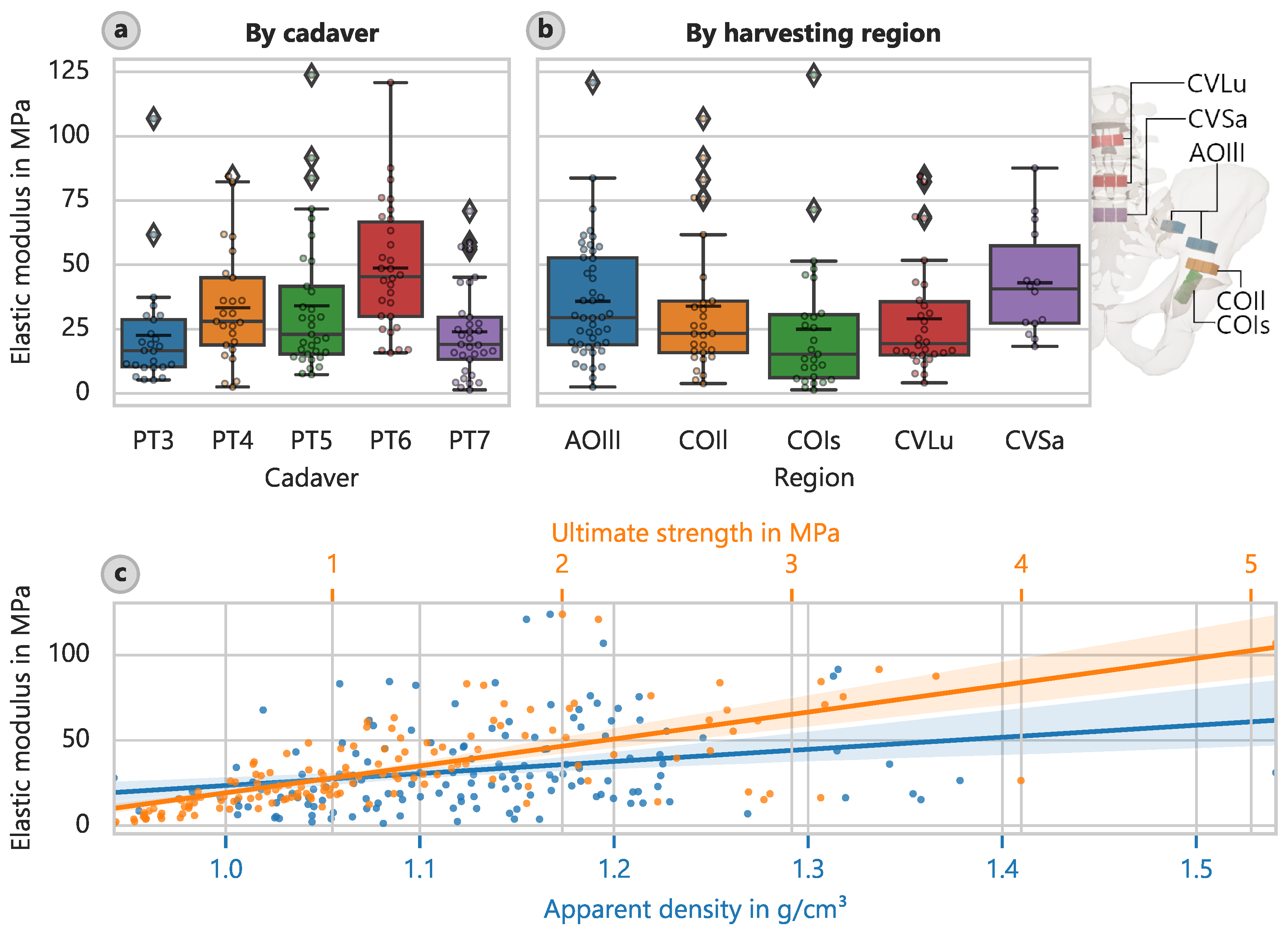 Bioengineering 12 00862 g003
