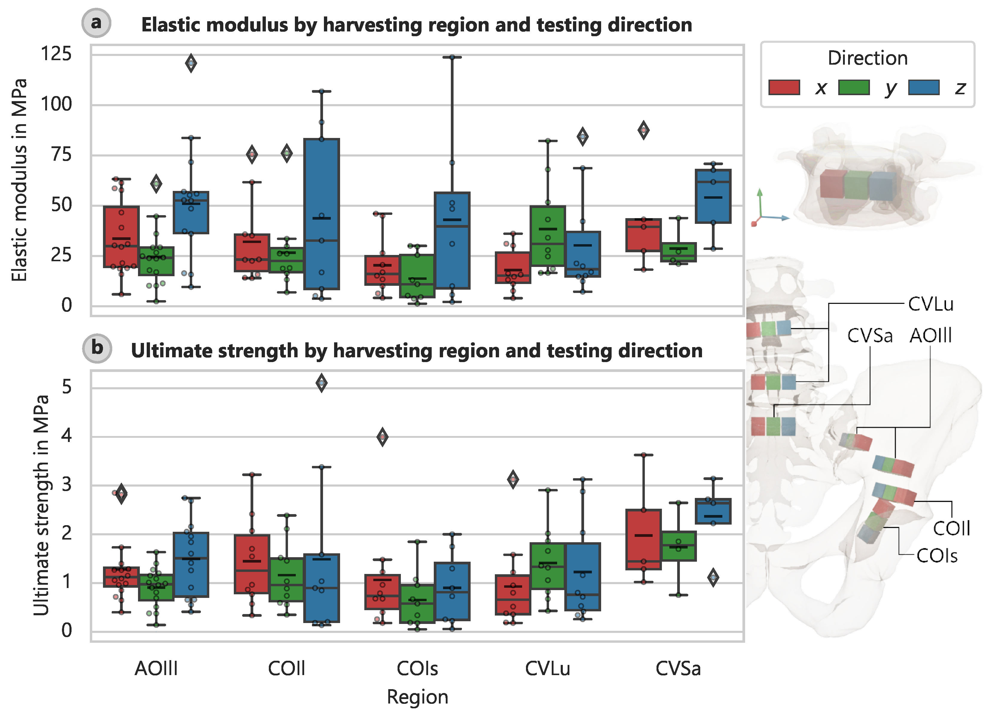 Bioengineering 12 00862 g004