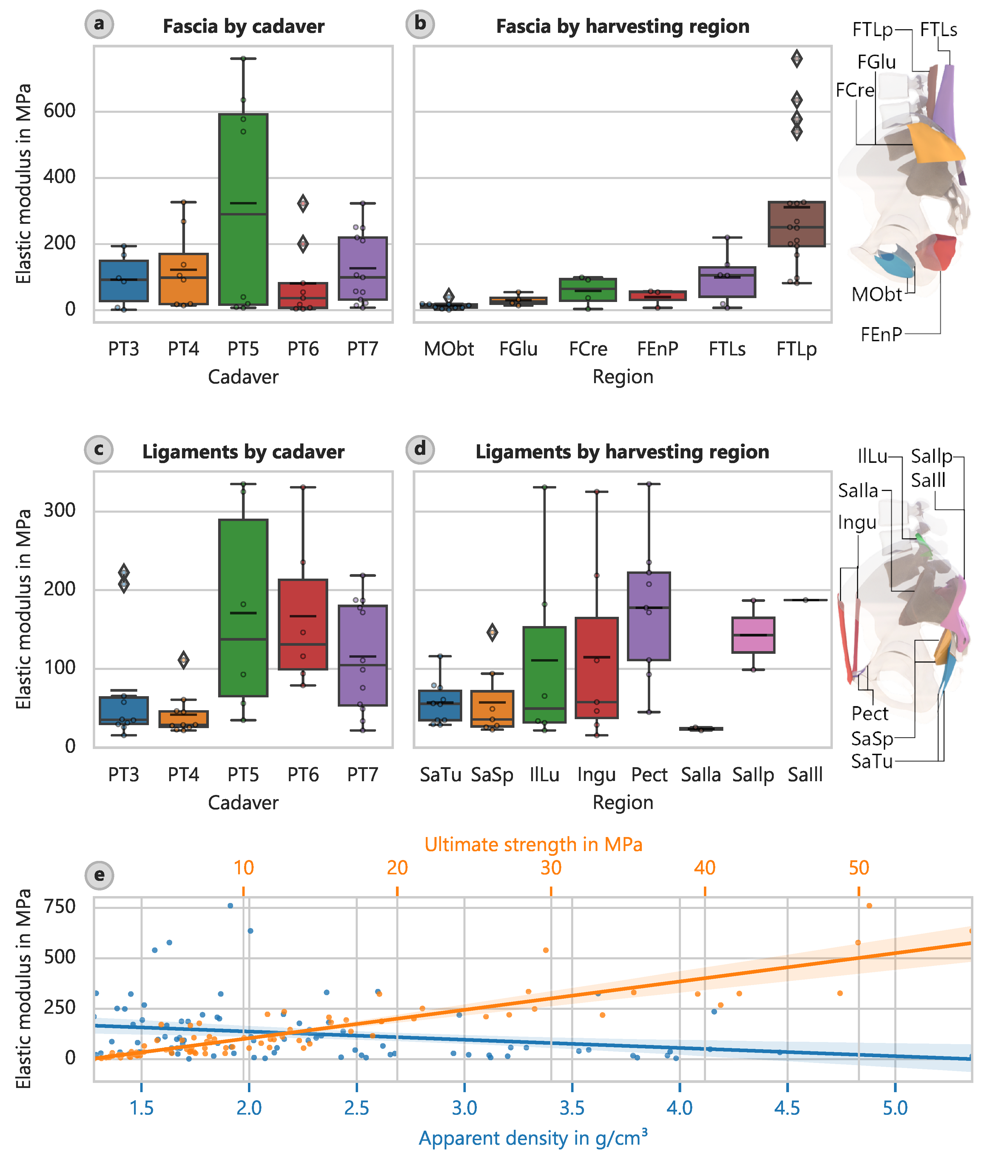 Bioengineering 12 00862 g006