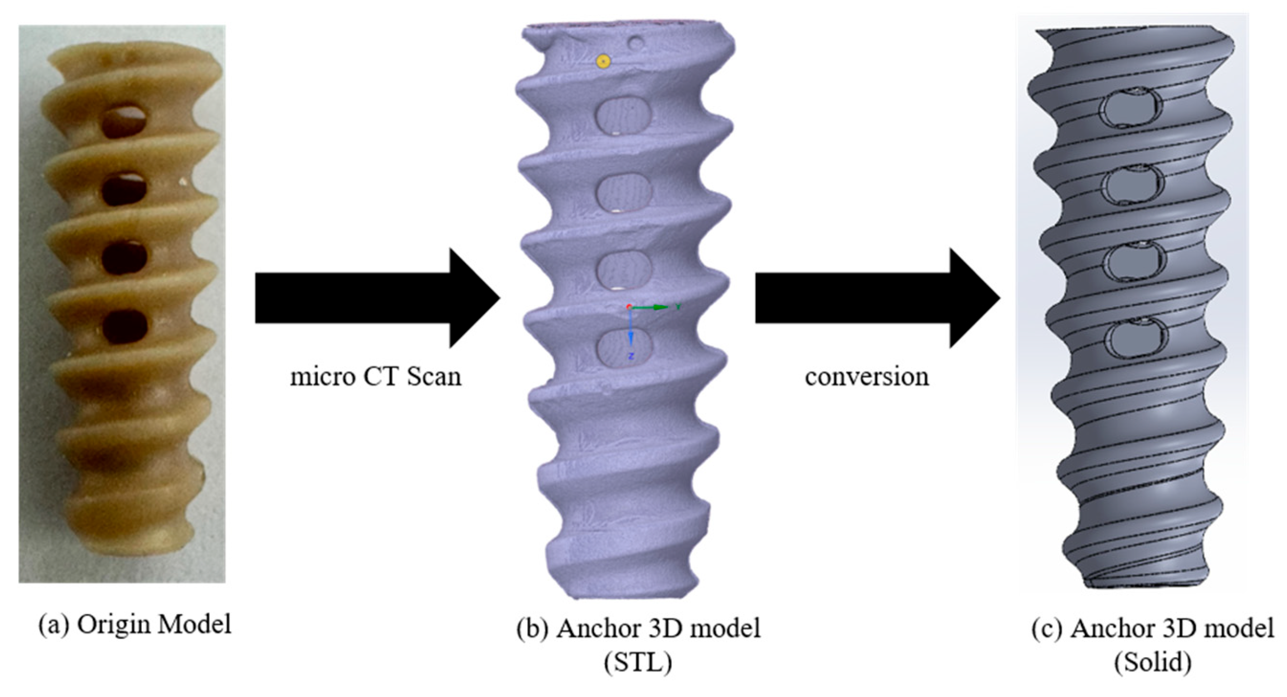 Bioengineering 12 00863 g002