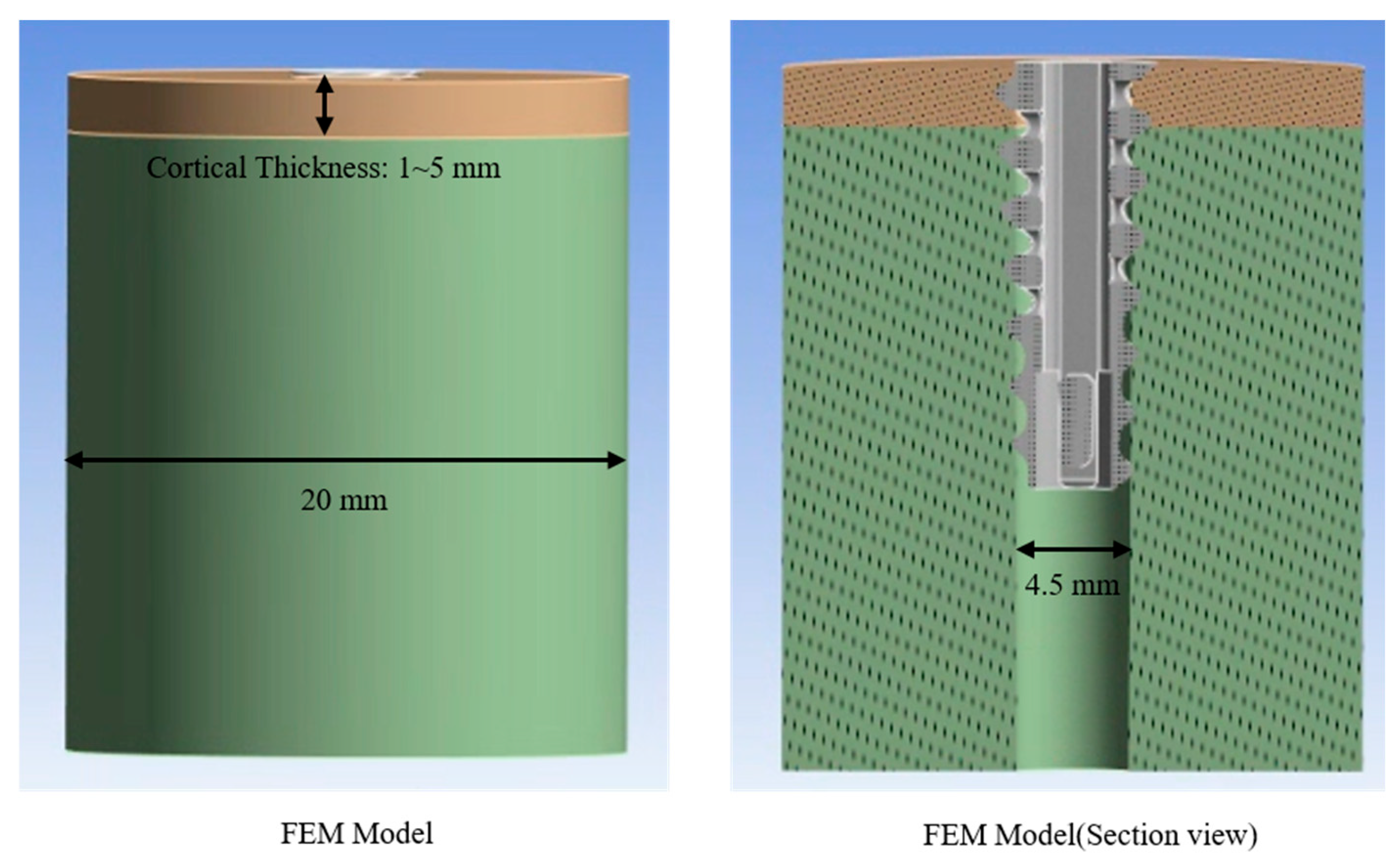 Bioengineering 12 00863 g003