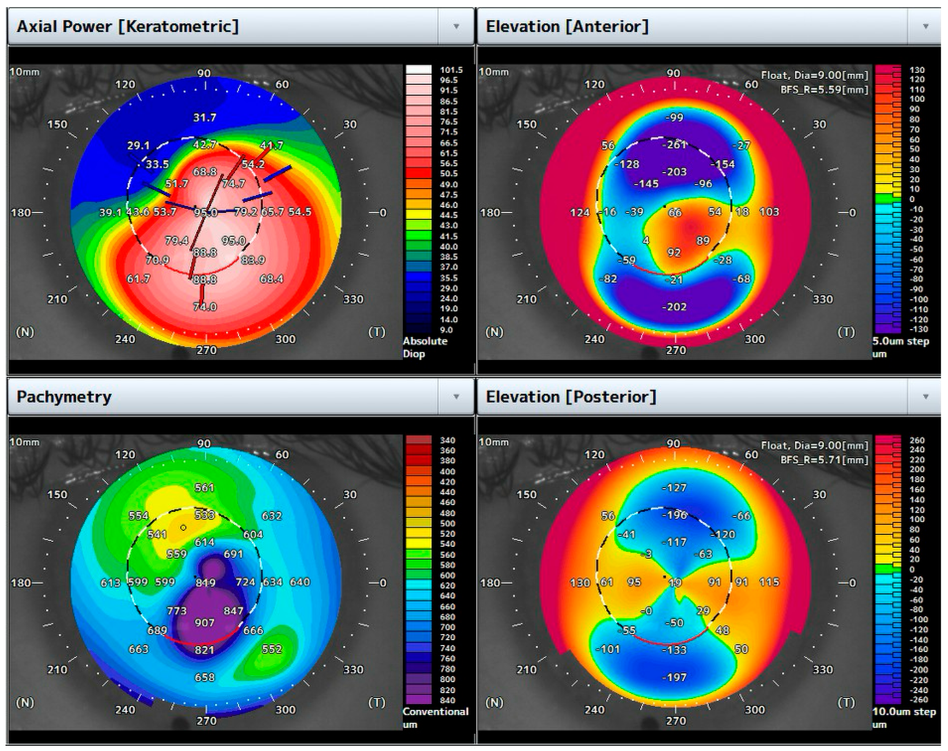 Bioengineering 12 00867 g002 Bioengineering 12 00867 g002