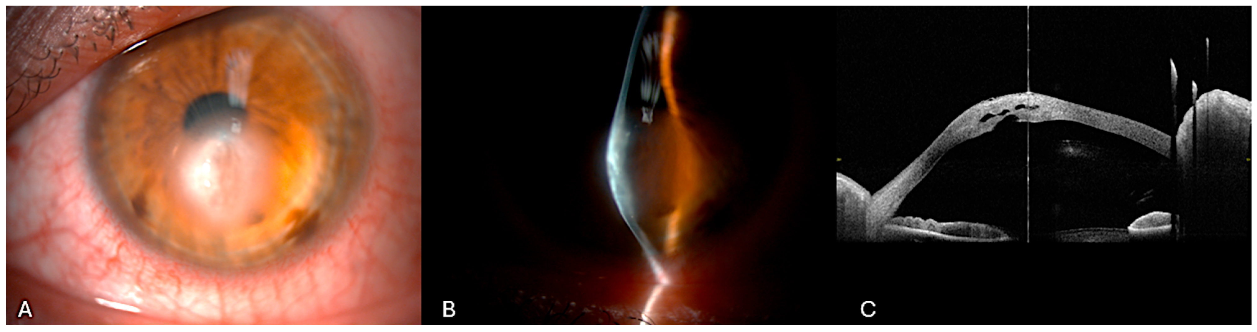 Bioengineering 12 00867 g003 Bioengineering 12 00867 g003