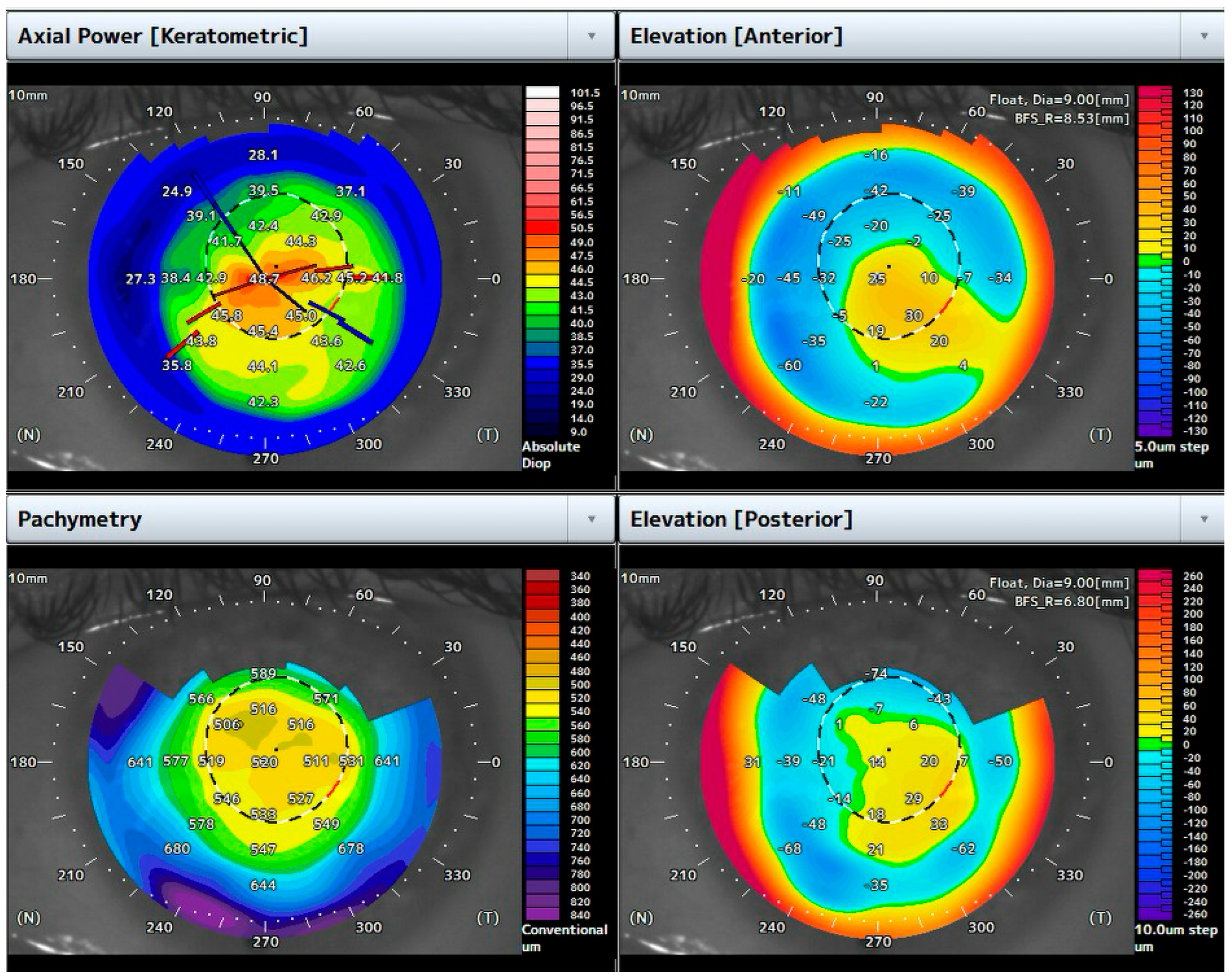 Bioengineering 12 00867 g004 Bioengineering 12 00867 g004