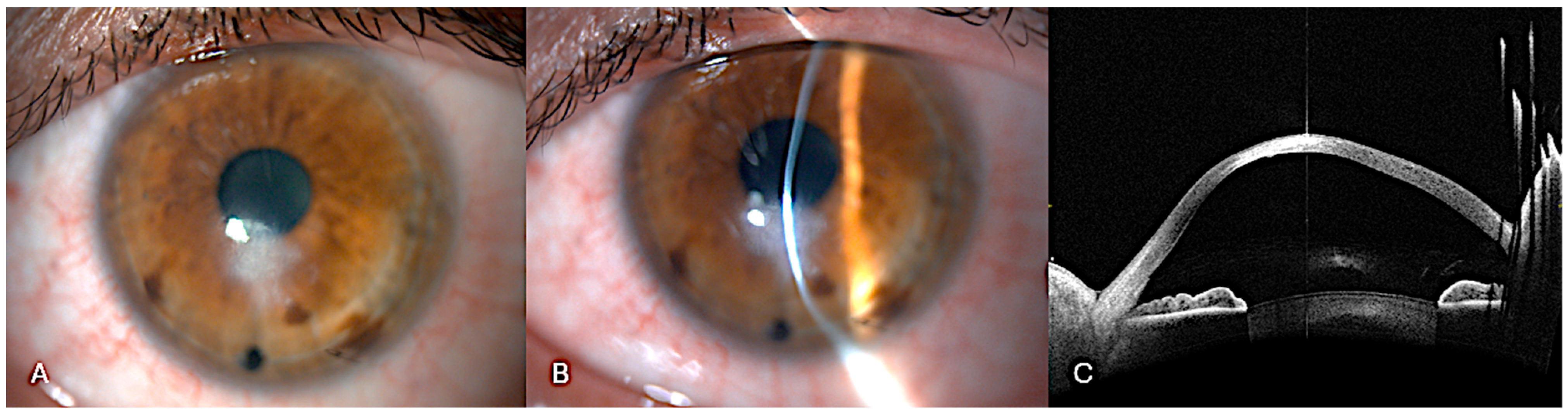 Bioengineering 12 00867 g005 Bioengineering 12 00867 g005