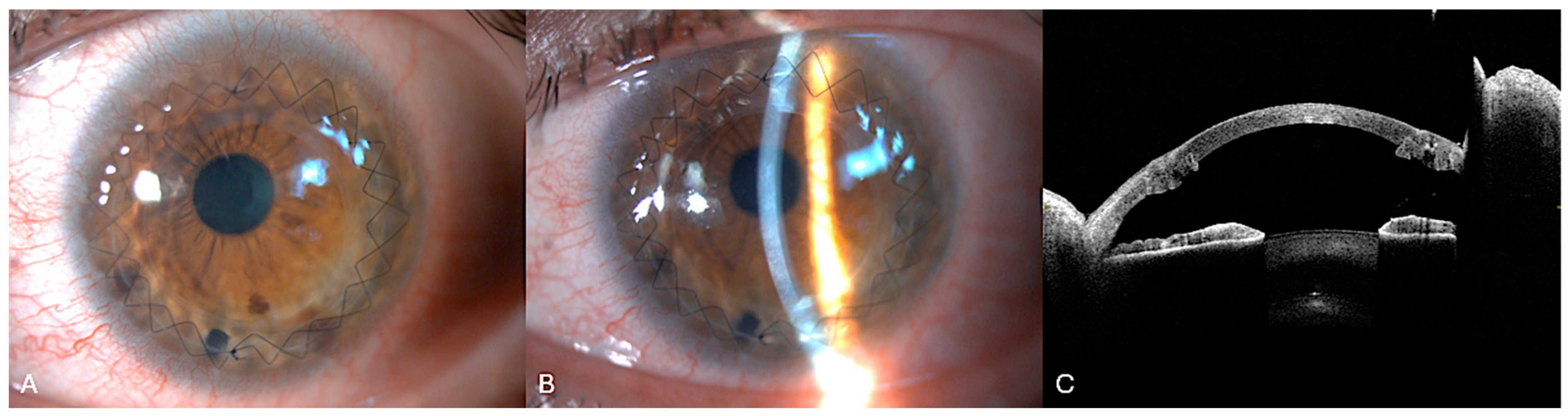 Bioengineering 12 00867 g006 Bioengineering 12 00867 g006