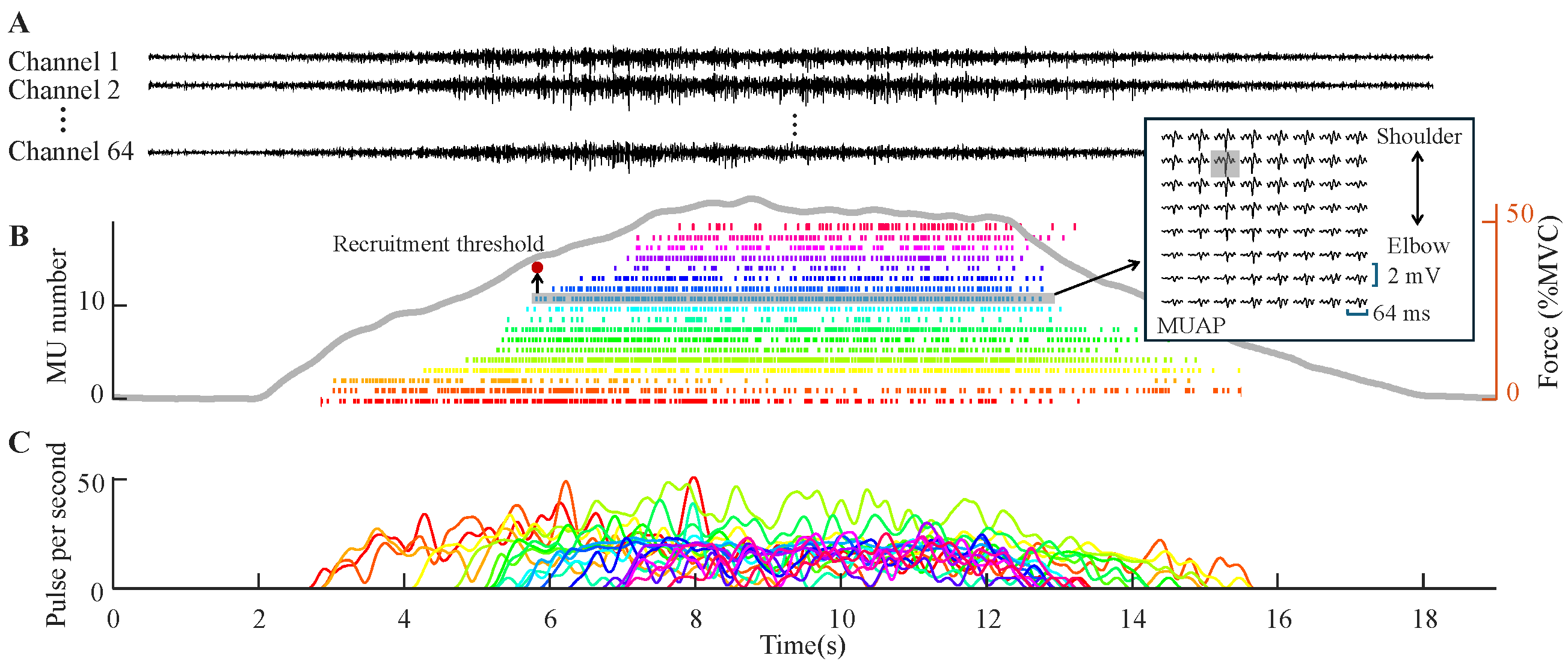 Bioengineering 12 00869 g003