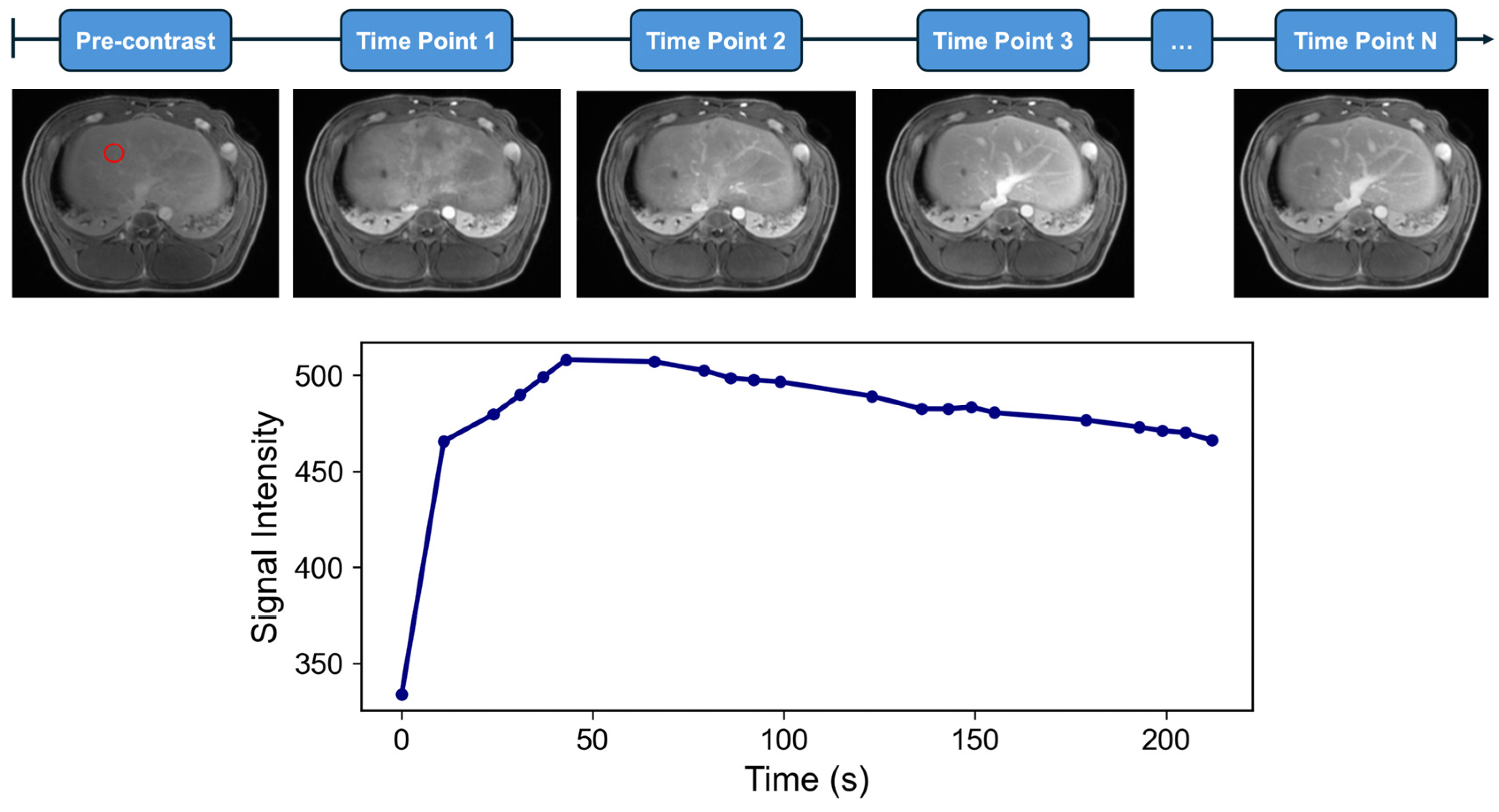 Bioengineering 12 00870 g002