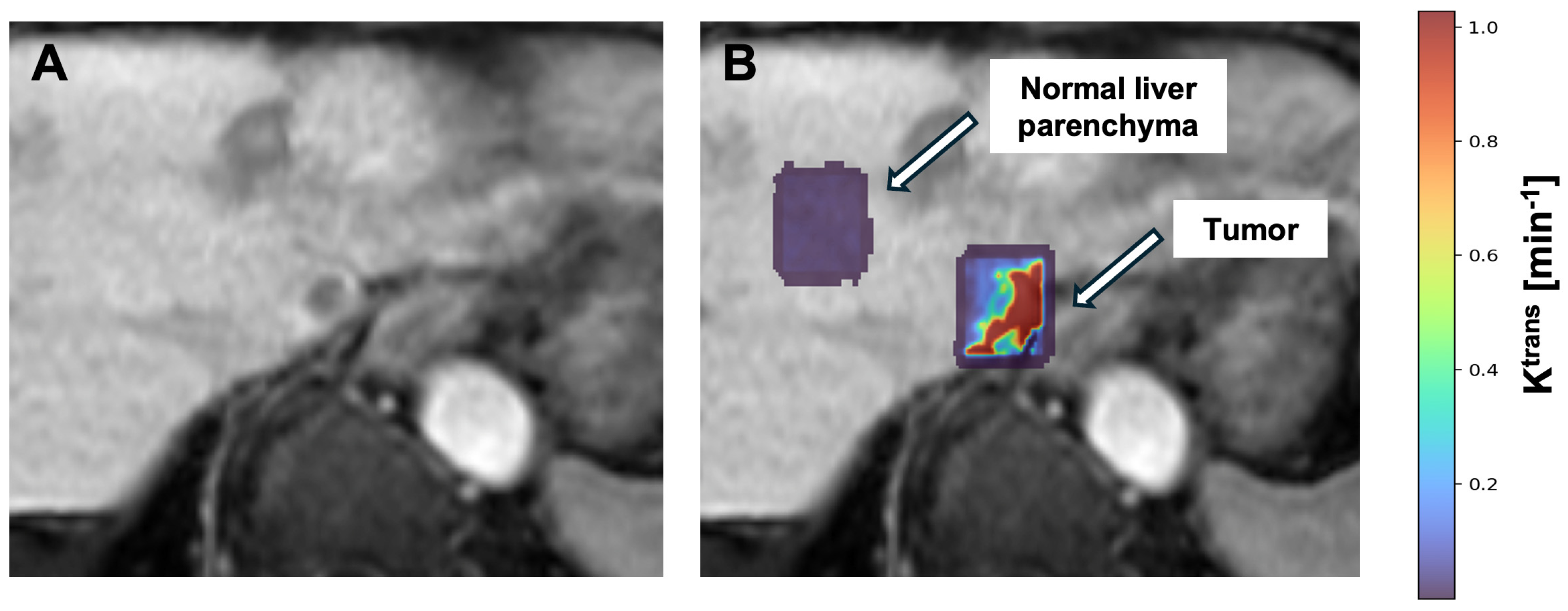 Bioengineering 12 00870 g005
