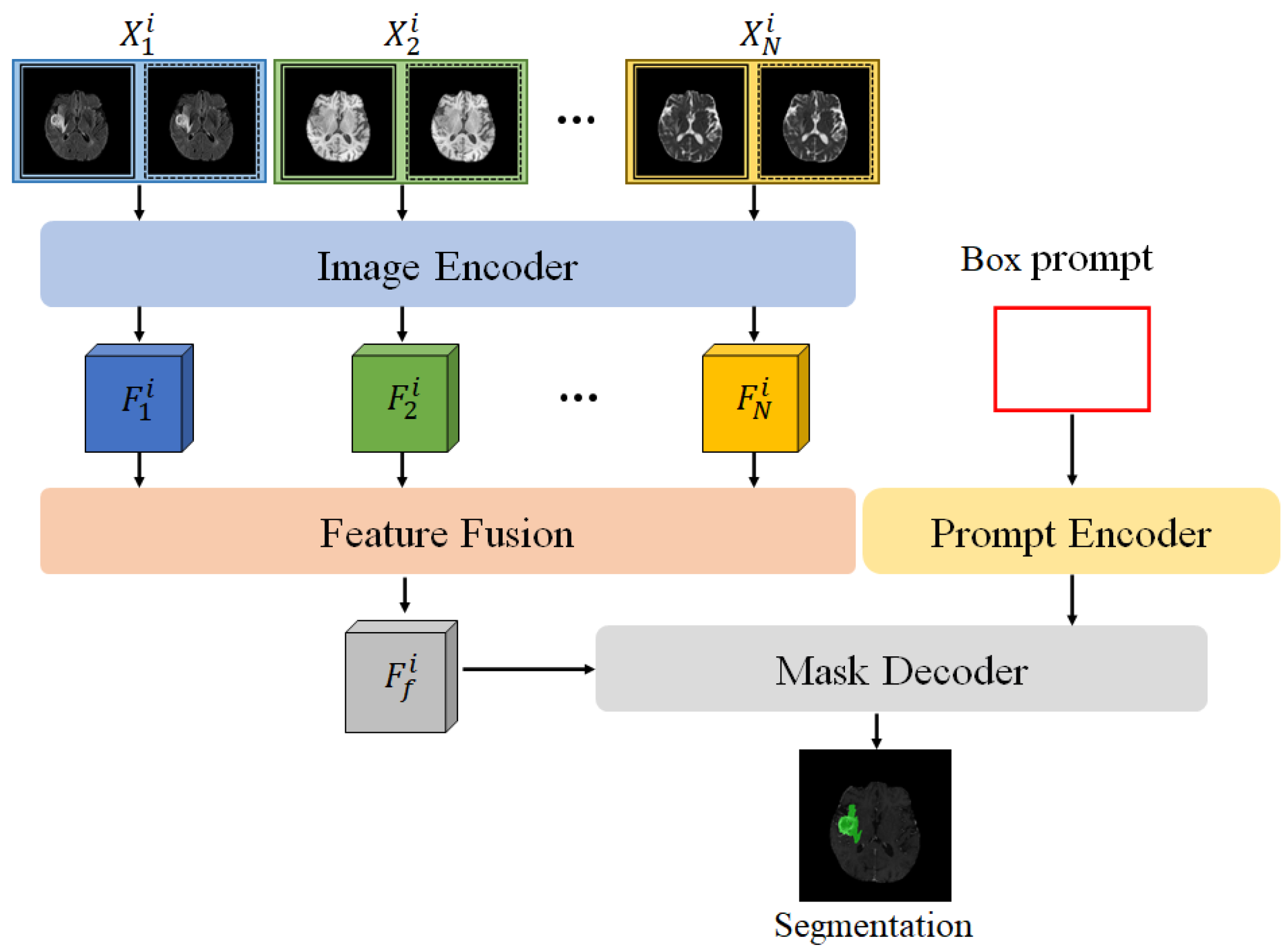 Bioengineering 12 00871 g001