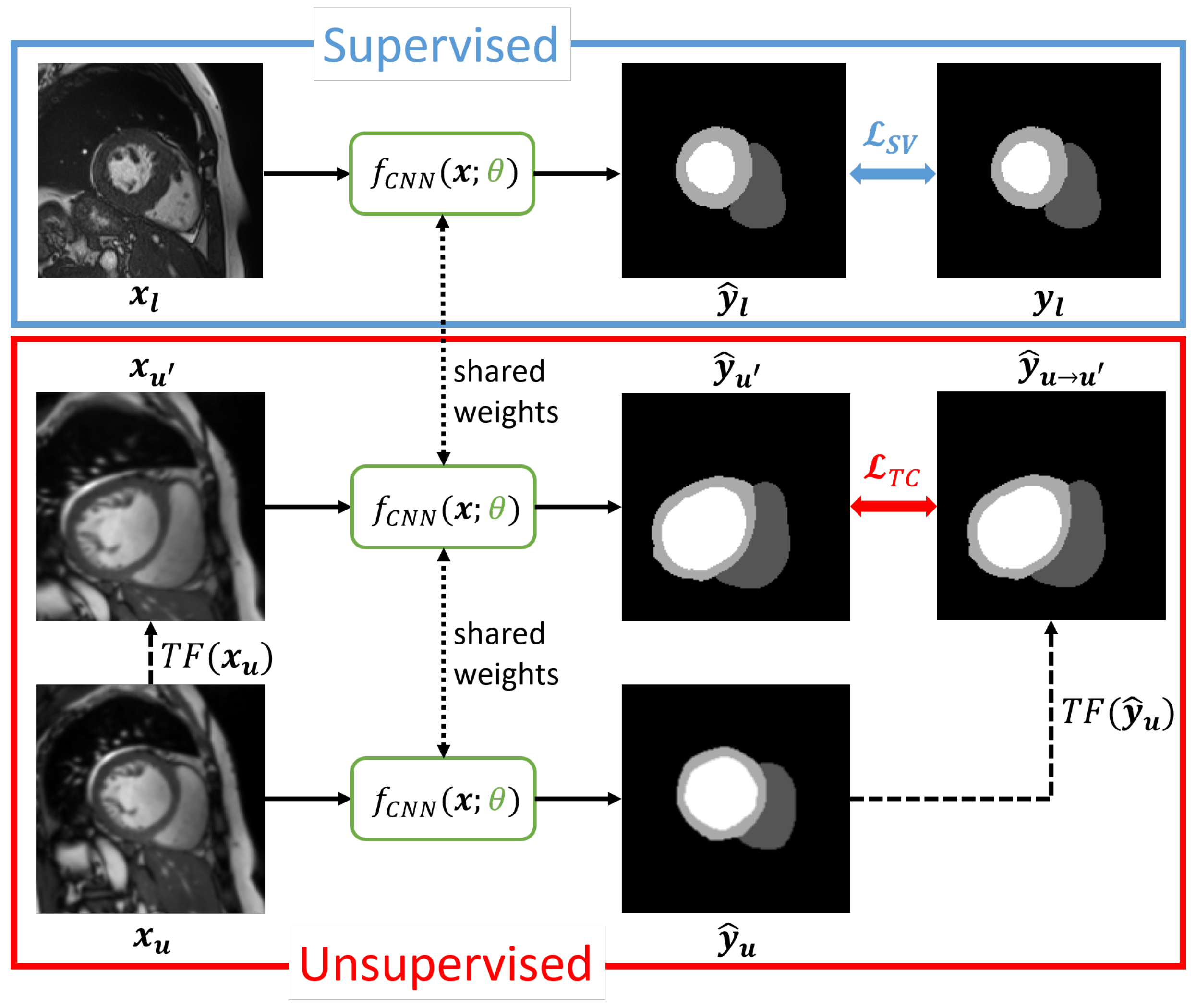 Bioengineering 12 00872 g001 Bioengineering 12 00872 g001