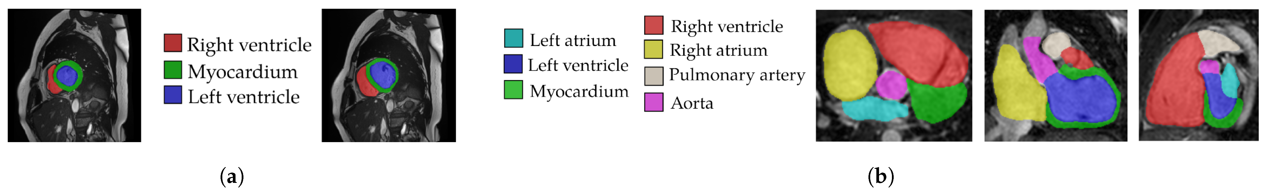 Bioengineering 12 00872 g005 Bioengineering 12 00872 g005